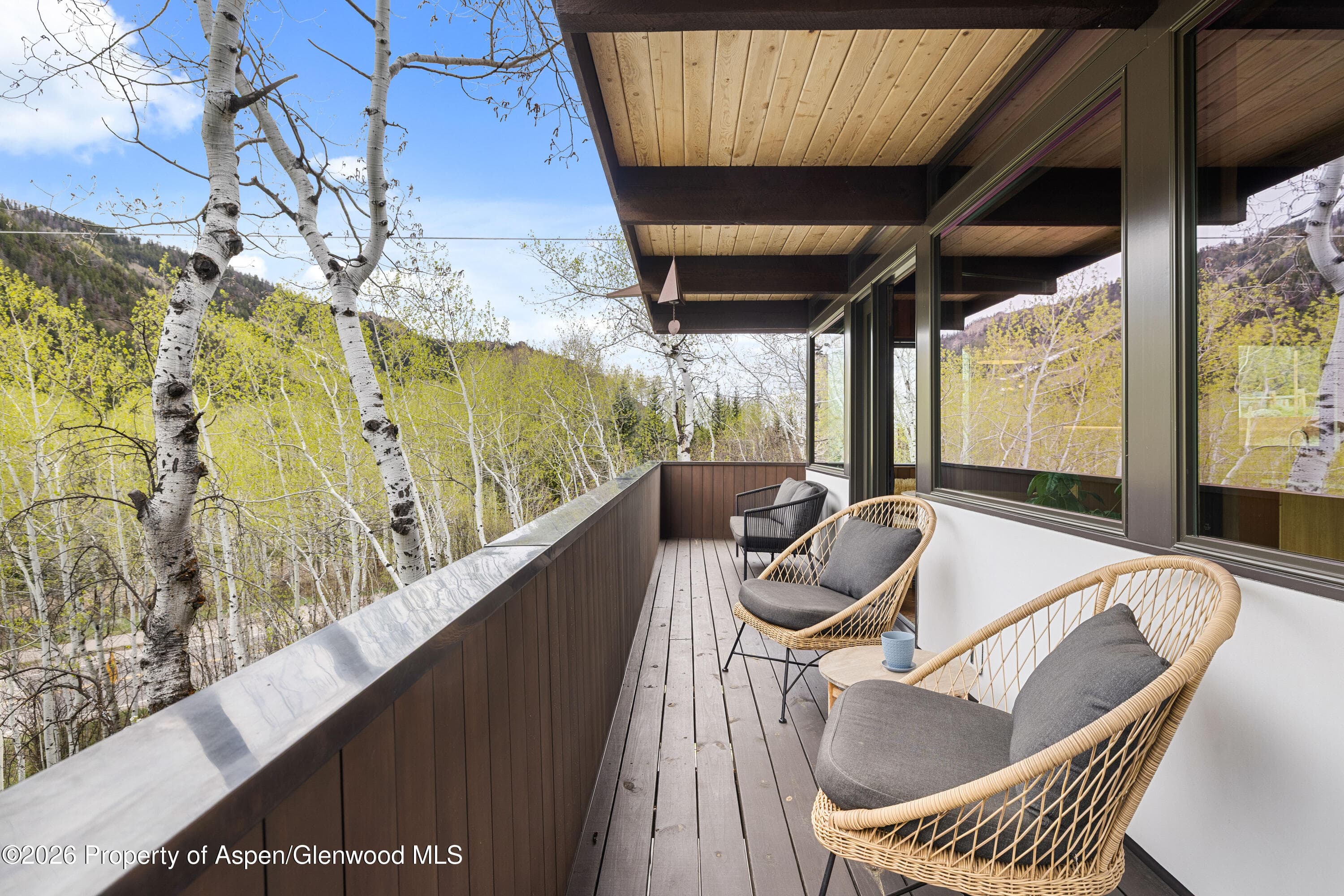 284 Eastwood Drive, Aspen, CO 81611 - Photo 7