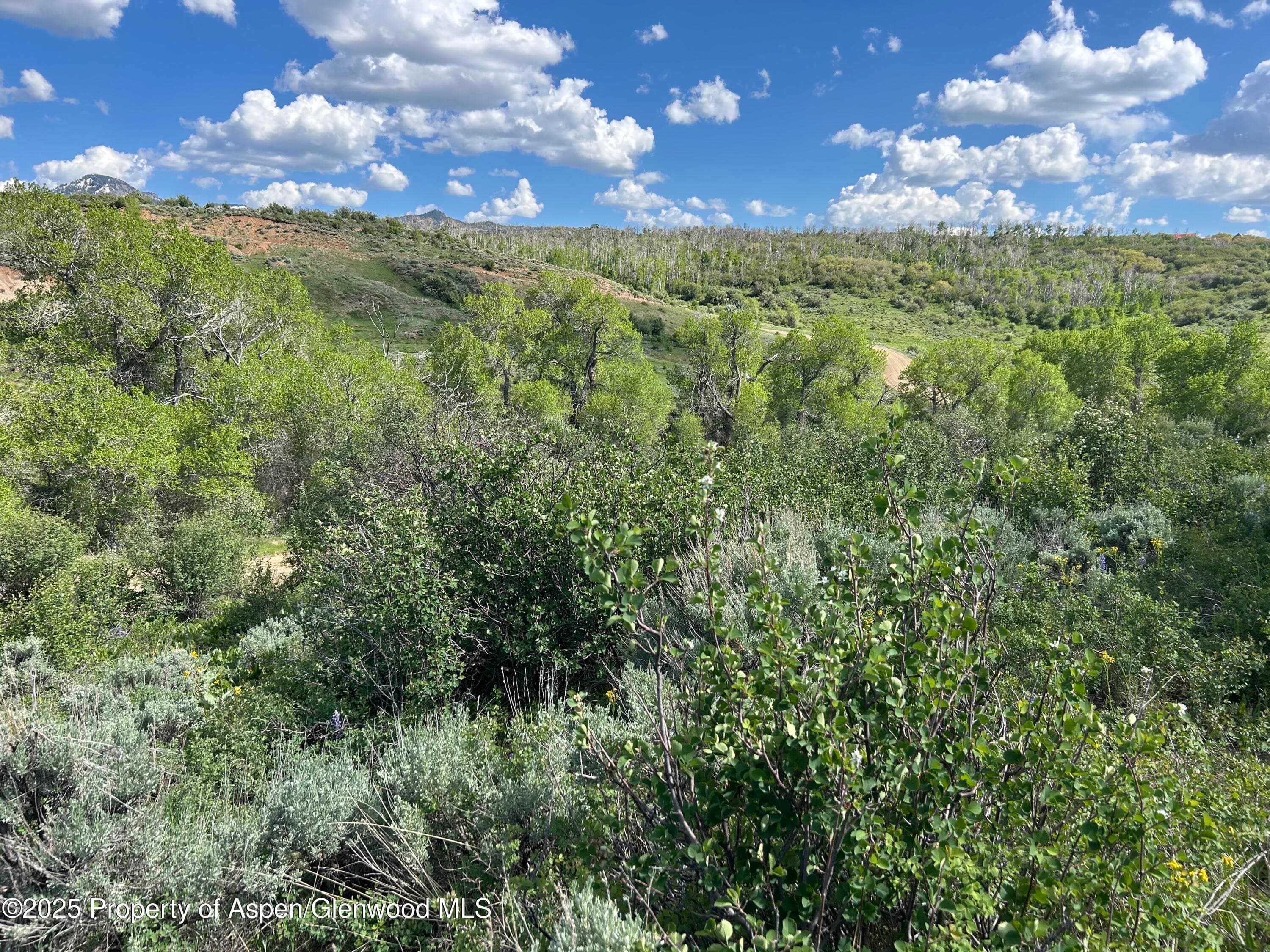 889 Granite Road Lot 446, Craig, CO 81625 - Photo 4