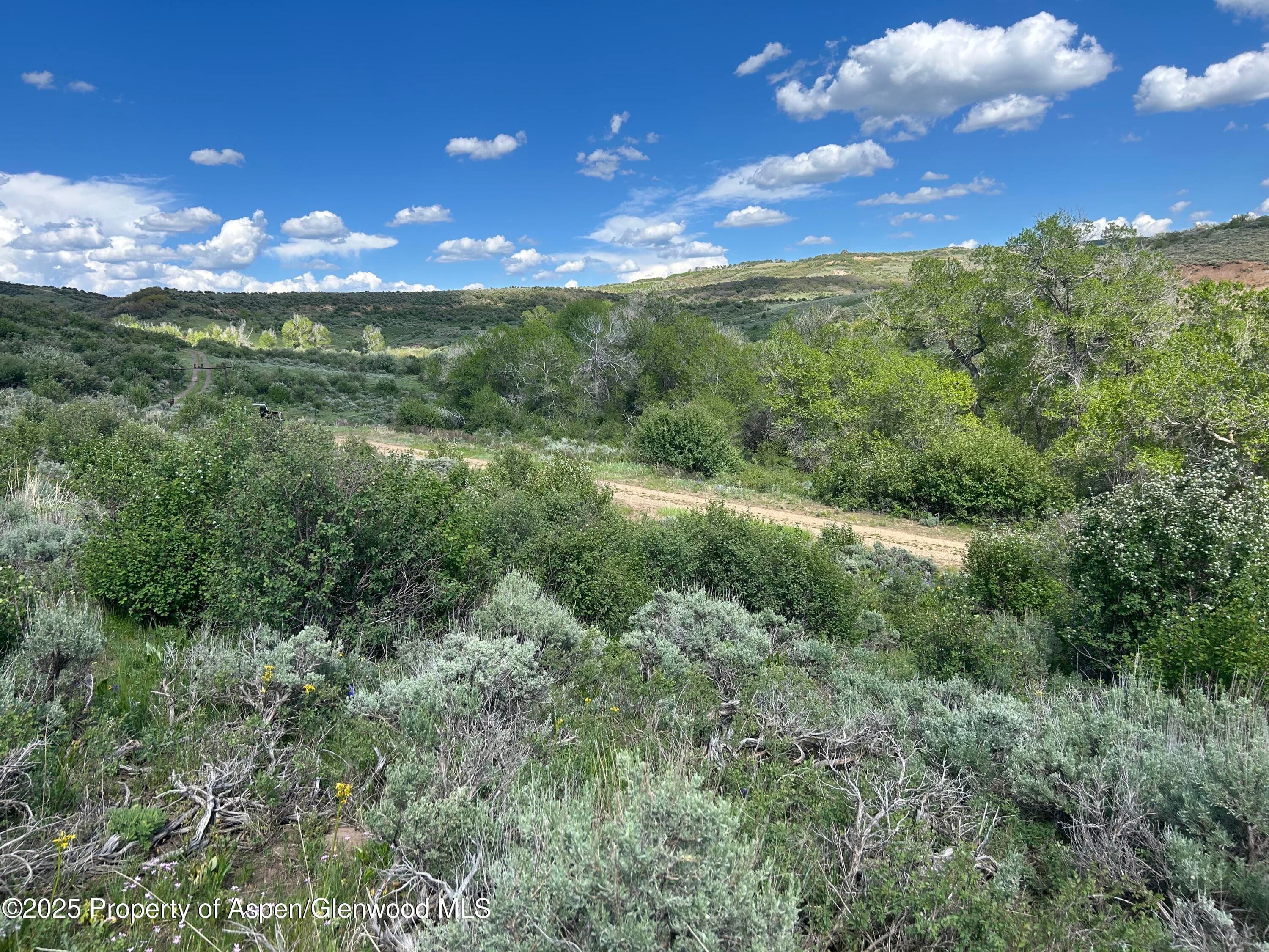 889 Granite Road Lot 446, Craig, CO 81625 - Photo 5