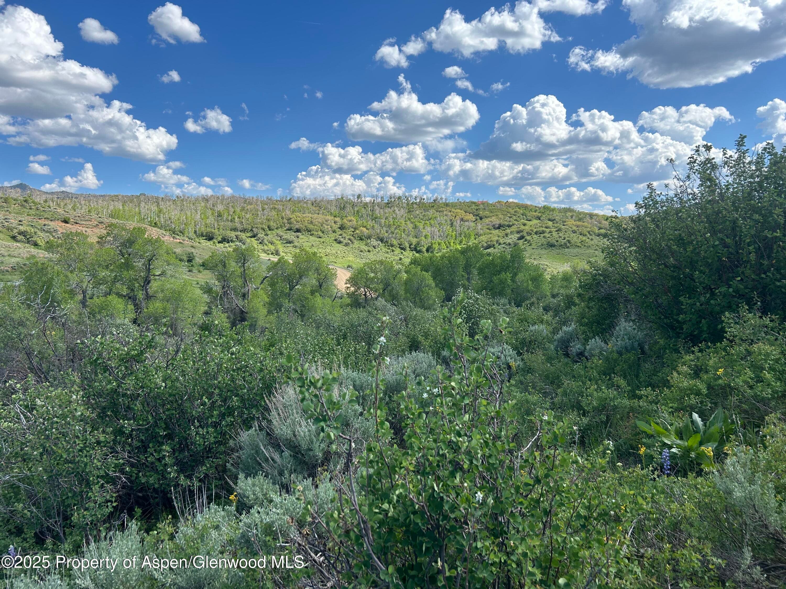 889 Granite Road Lot 446, Craig, CO 81625 - Photo 6