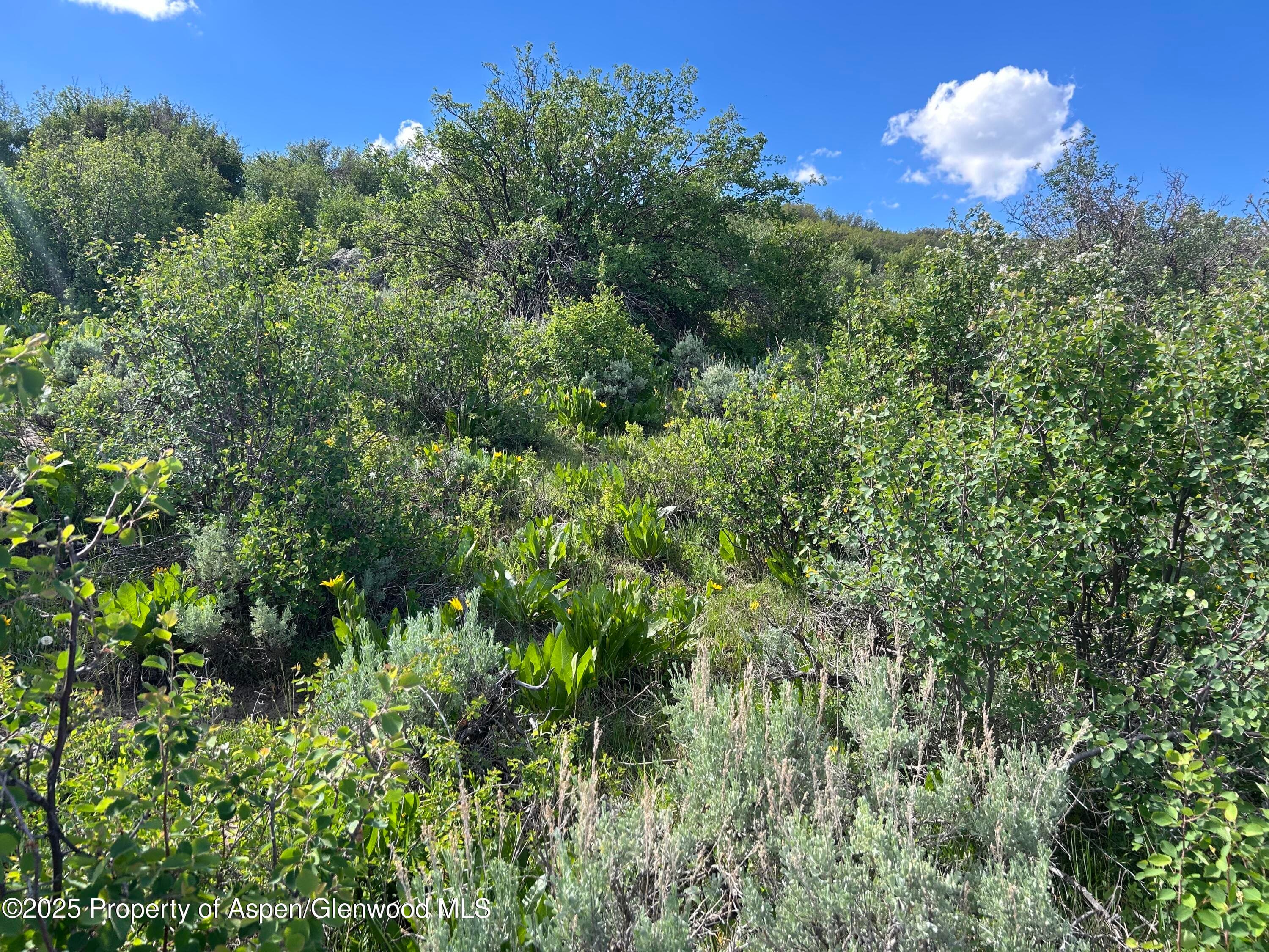 889 Granite Road Lot 446, Craig, CO 81625 - Photo 7