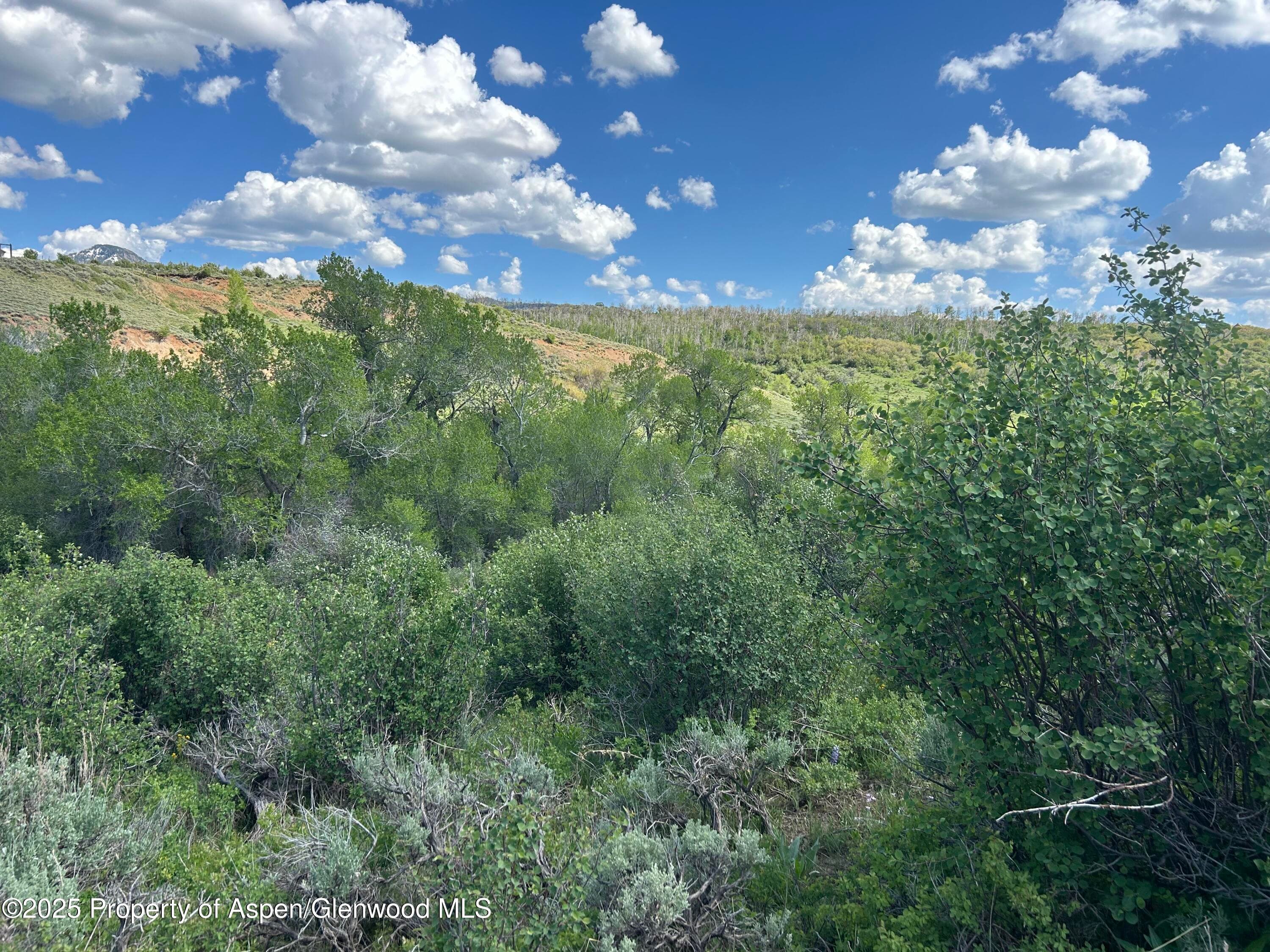 889 Granite Road Lot 446, Craig, CO 81625 - Photo 8