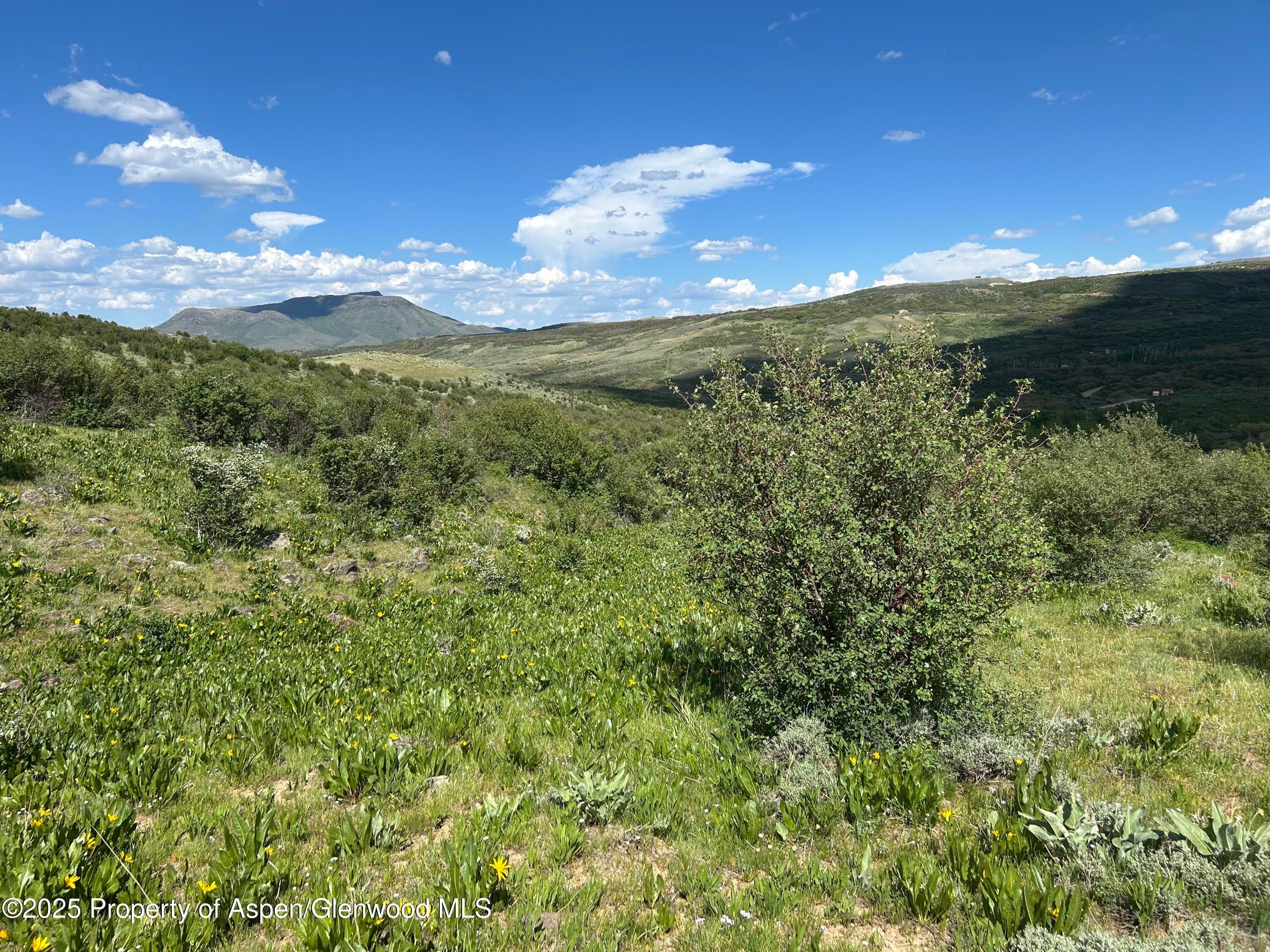 1445 Sprout Drive Lot 688, Craig, CO 81625 - Photo 5