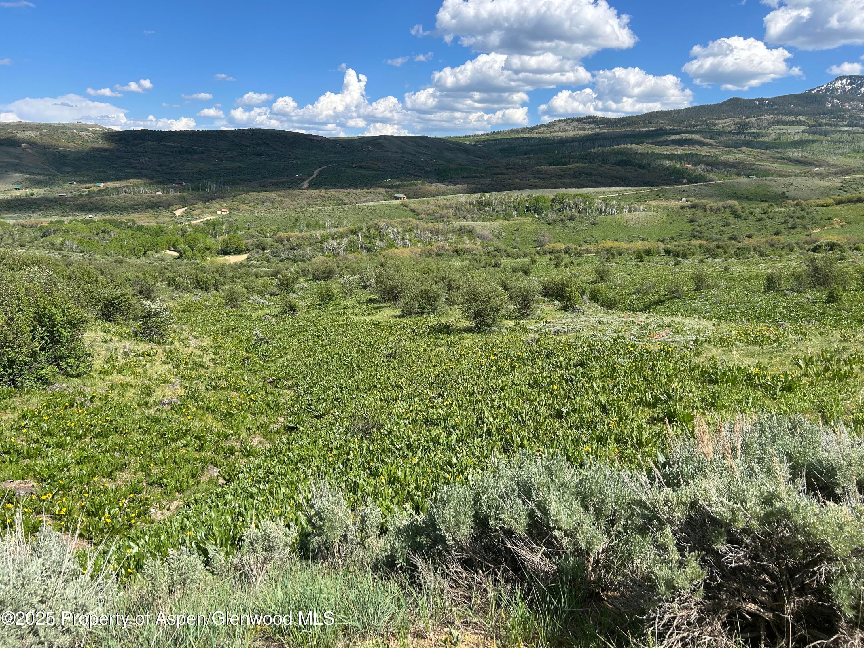 1445 Sprout Drive Lot 688, Craig, CO 81625 - Photo 9