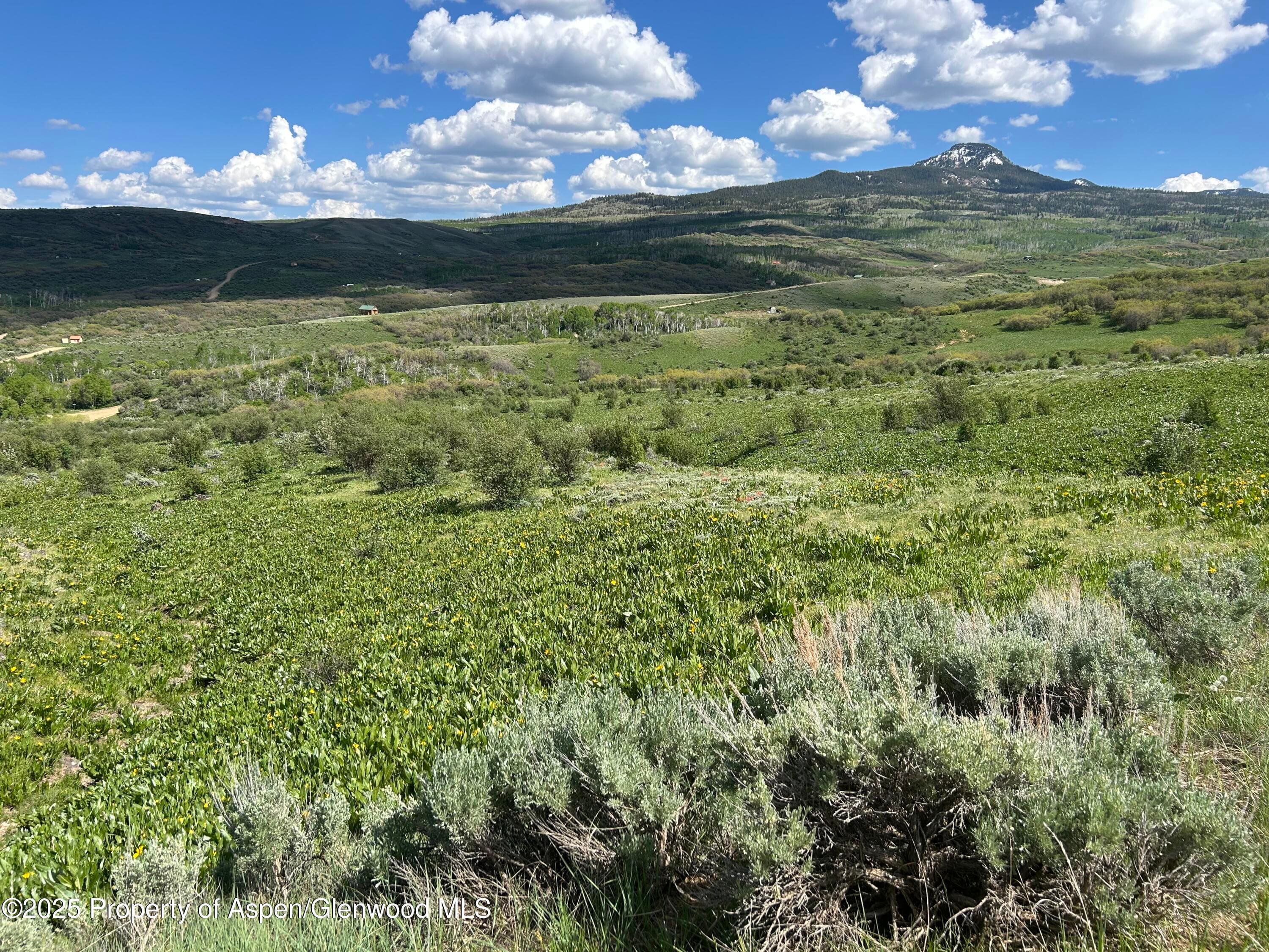 1445 Sprout Drive Lot 688, Craig, CO 81625 - Photo 10