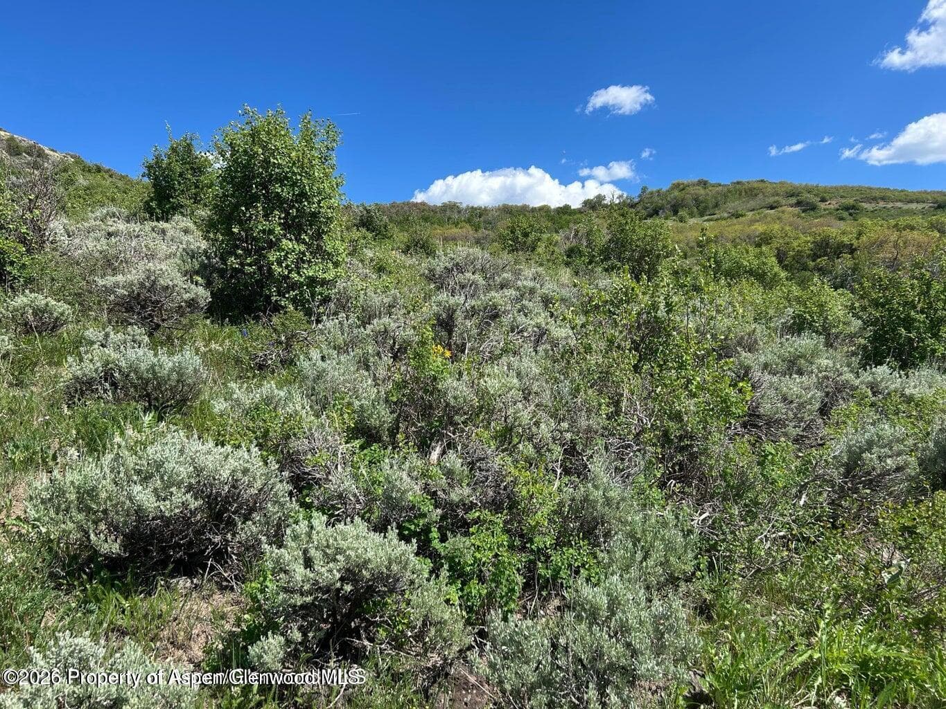 1633 Eagle Loop Lot 752, Craig, CO 81625 - Photo 5