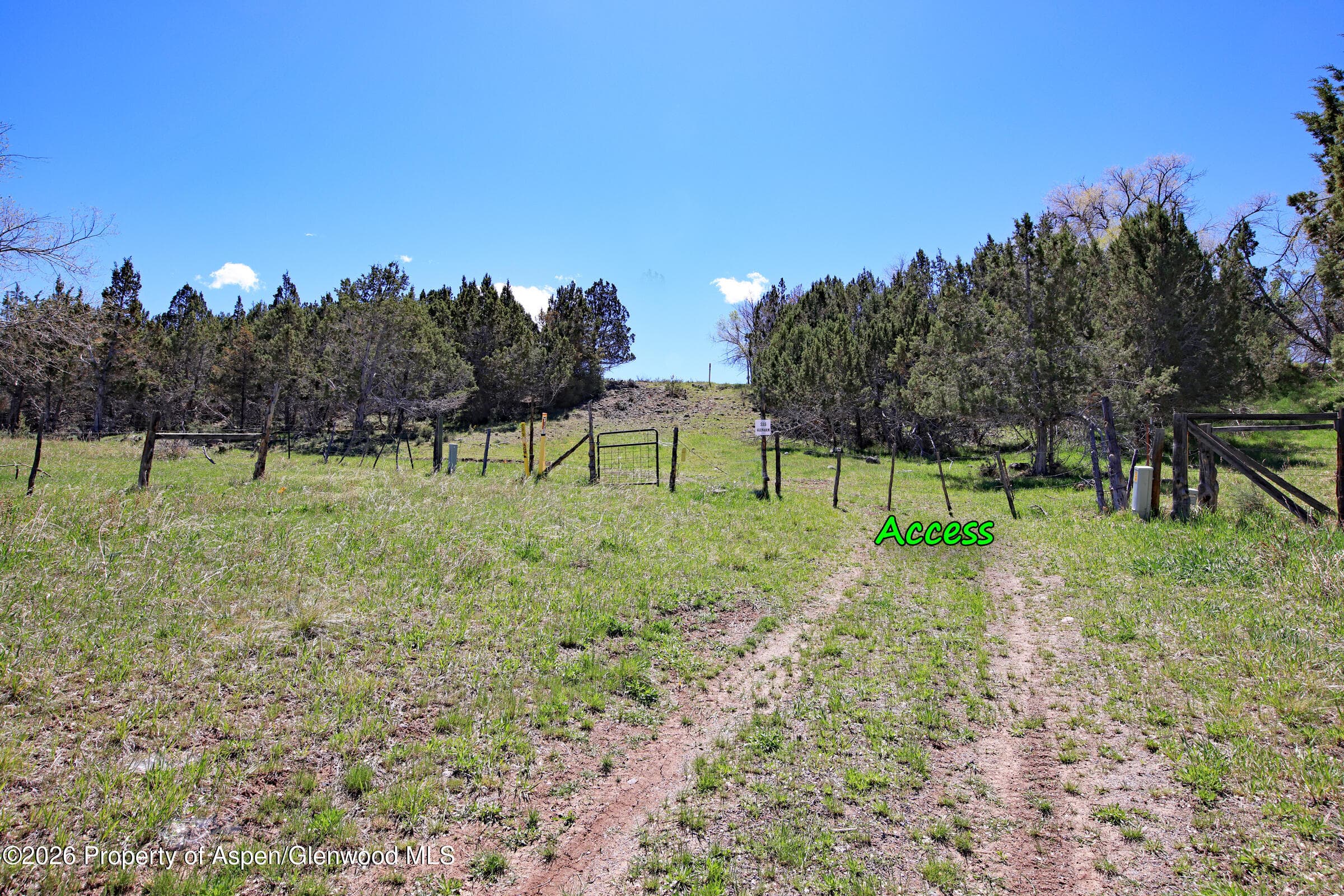 555 Glenarm Avenue, Collbran, CO 81624 - Photo 3