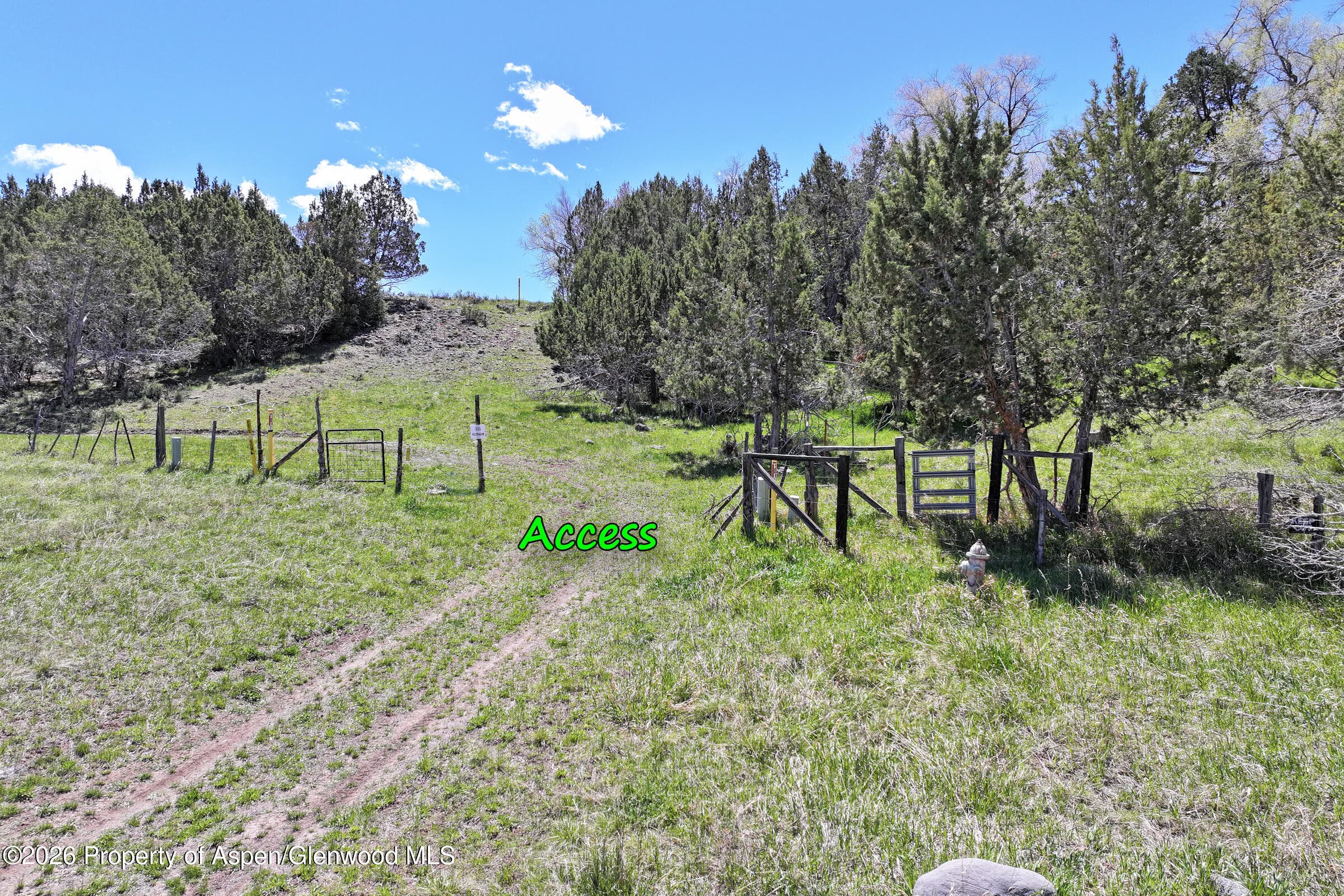 555 Glenarm Avenue, Collbran, CO 81624 - Photo 4