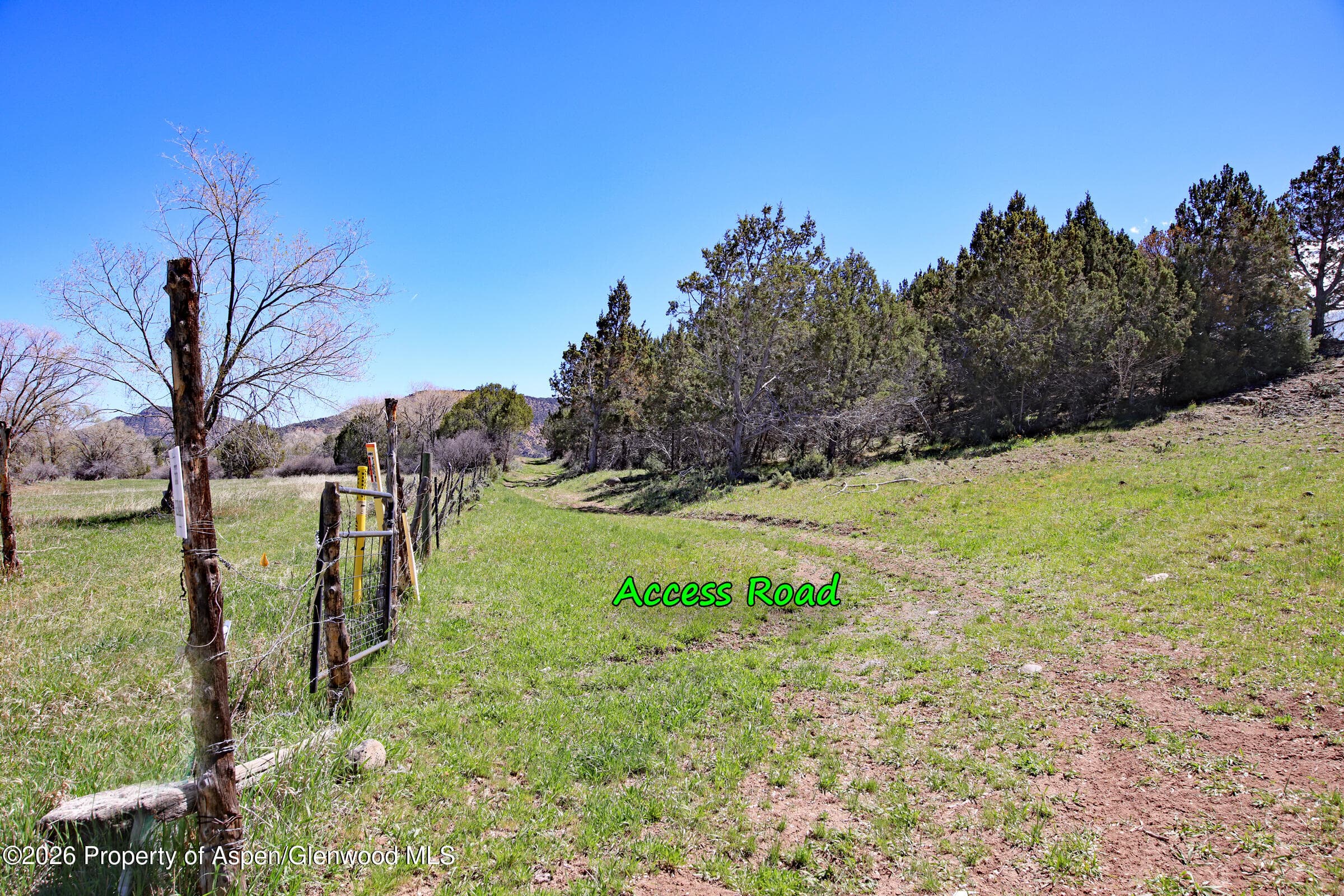 555 Glenarm Avenue, Collbran, CO 81624 - Photo 5