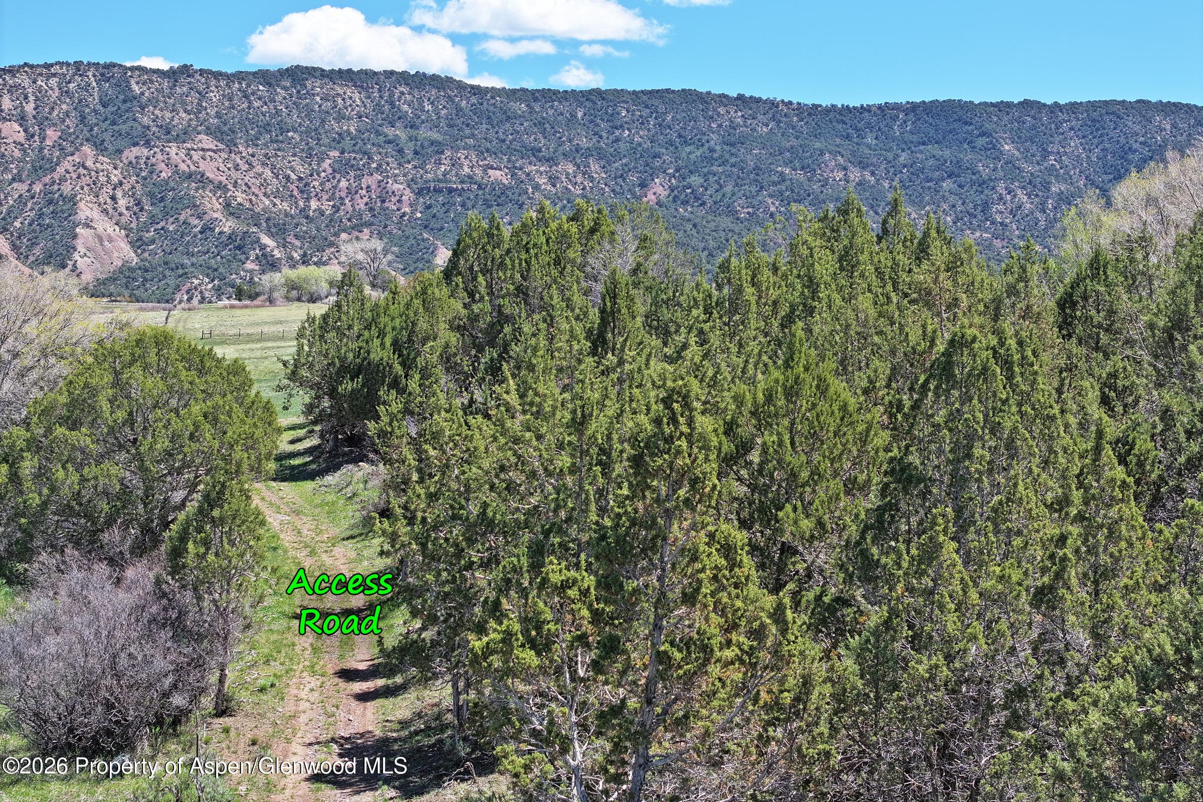 555 Glenarm Avenue, Collbran, CO 81624 - Photo 6