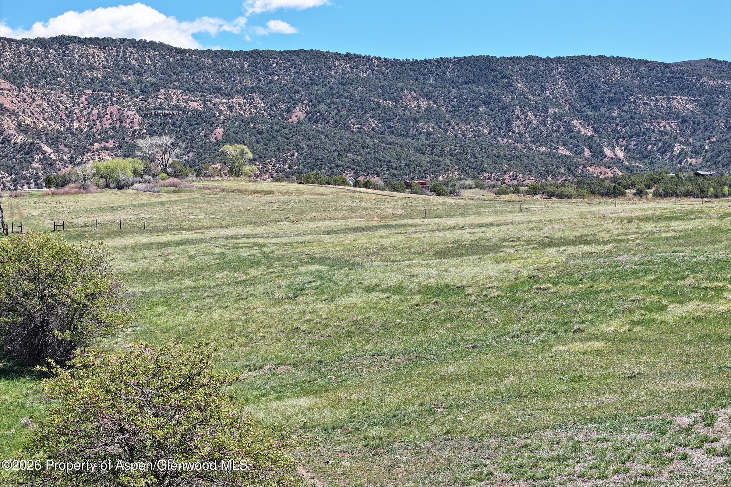 555 Glenarm Avenue, Collbran, CO 81624 - Photo 7