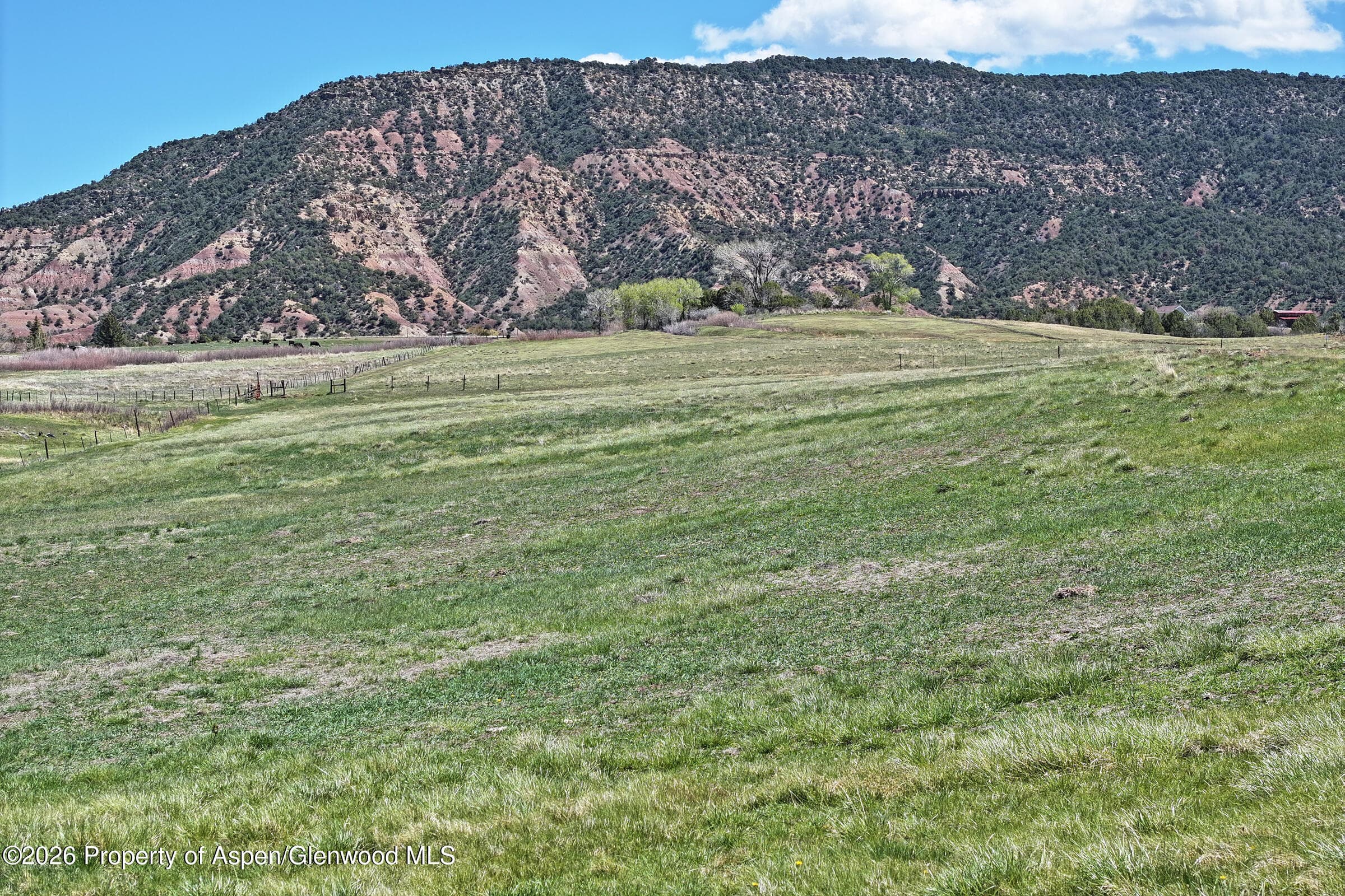 555 Glenarm Avenue, Collbran, CO 81624 - Photo 8