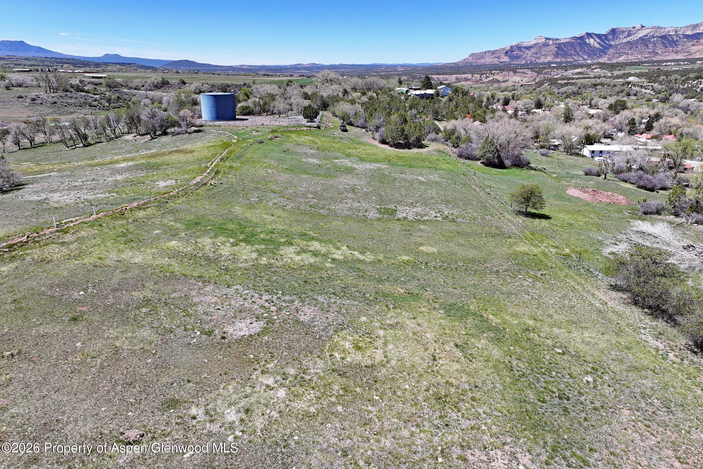 555 Glenarm Avenue, Collbran, CO 81624 - Photo 9