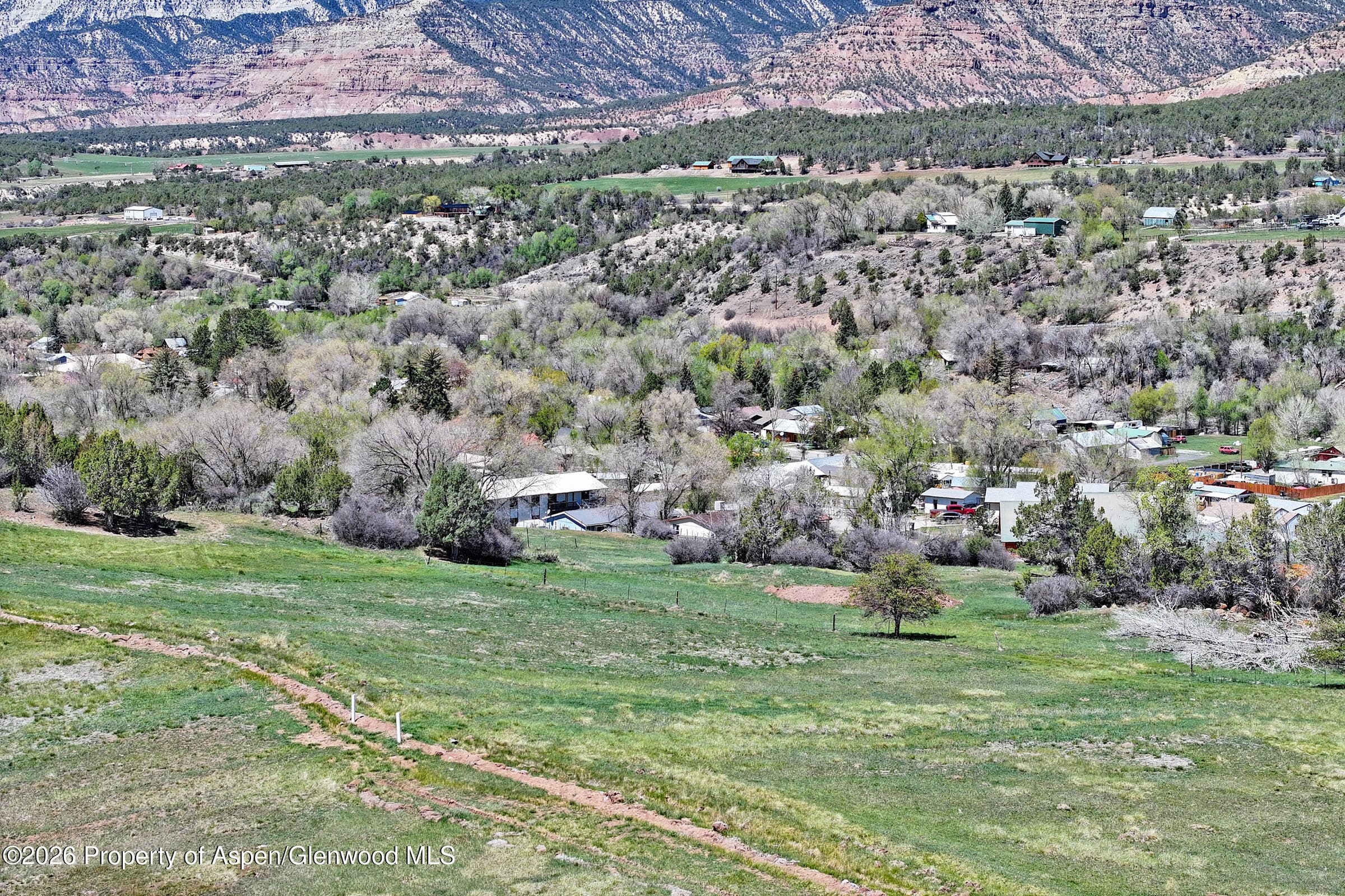555 Glenarm Avenue, Collbran, CO 81624 - Photo 11