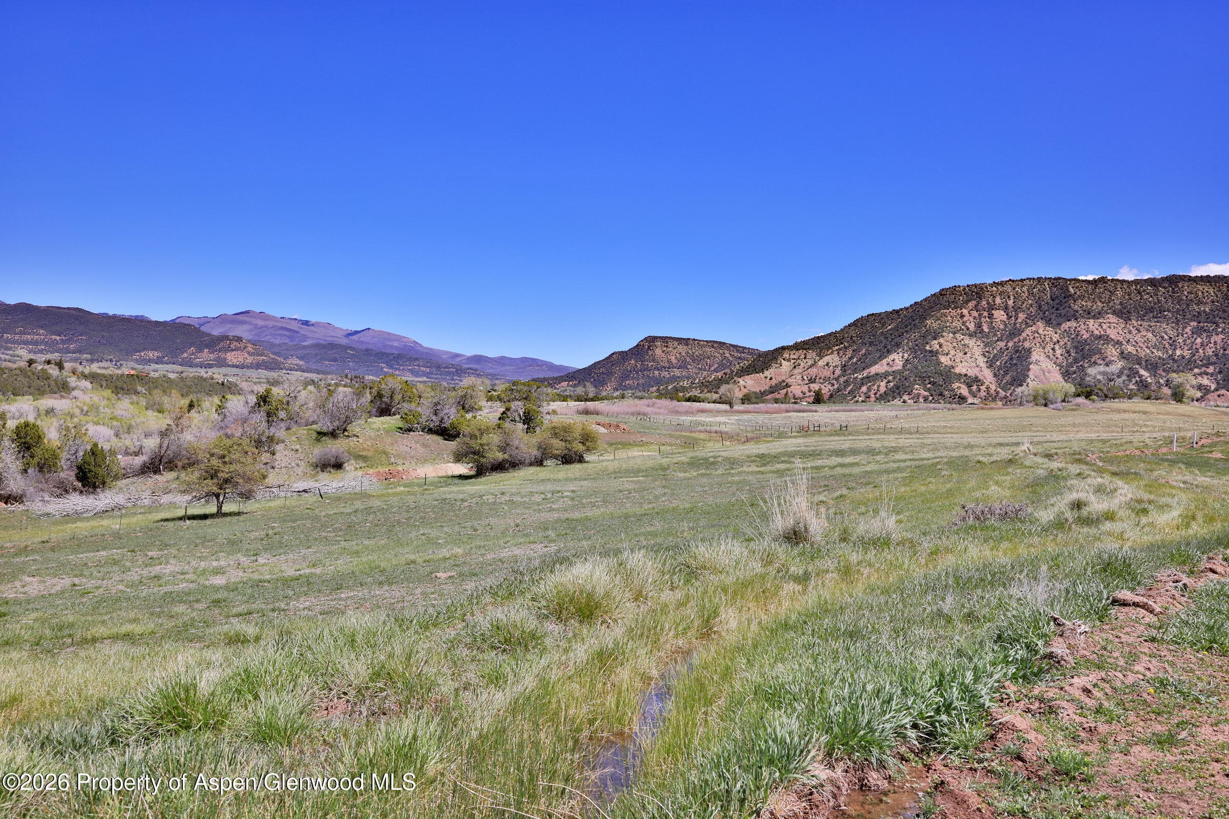 555 Glenarm Avenue, Collbran, CO 81624 - Photo 14