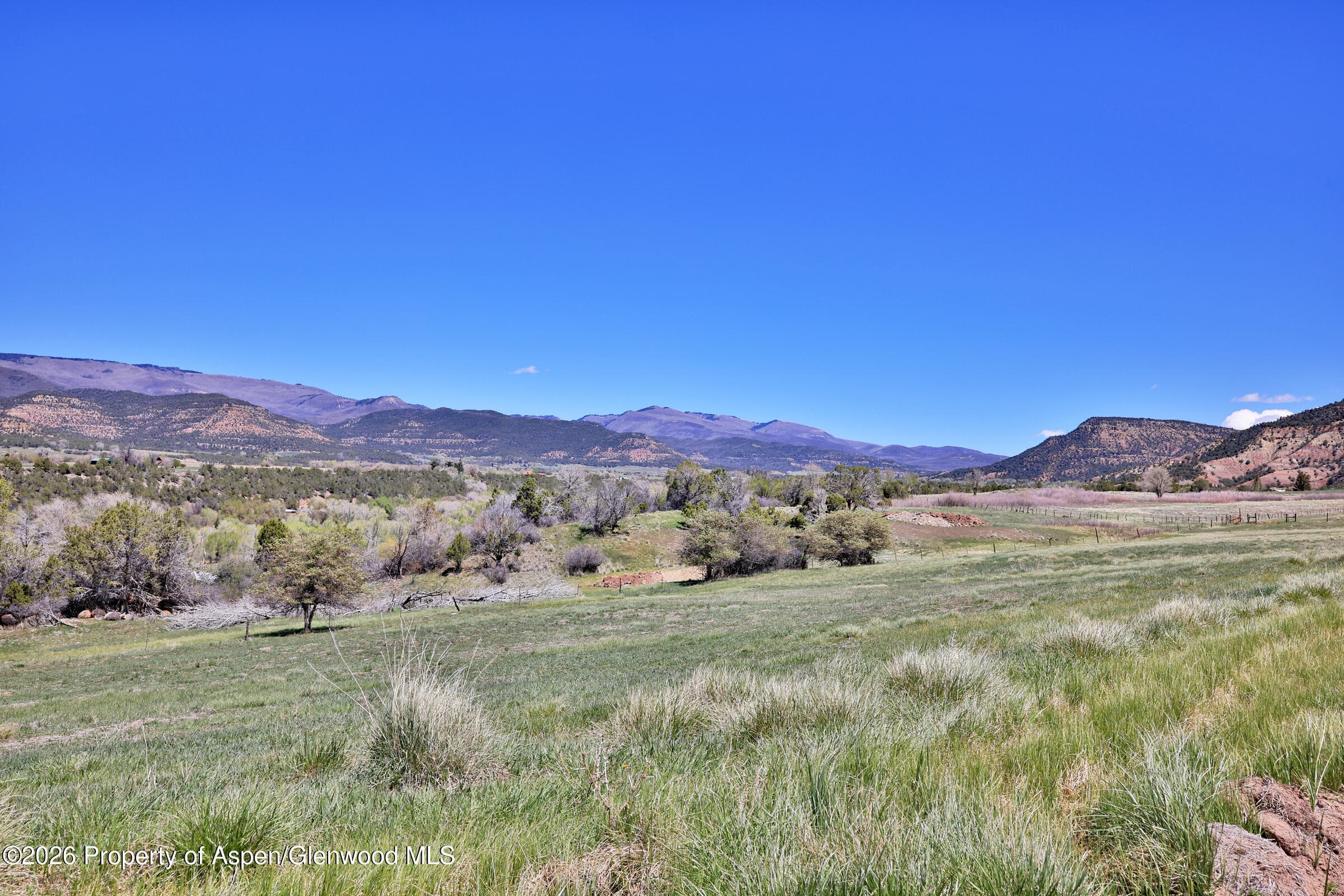 555 Glenarm Avenue, Collbran, CO 81624 - Photo 15