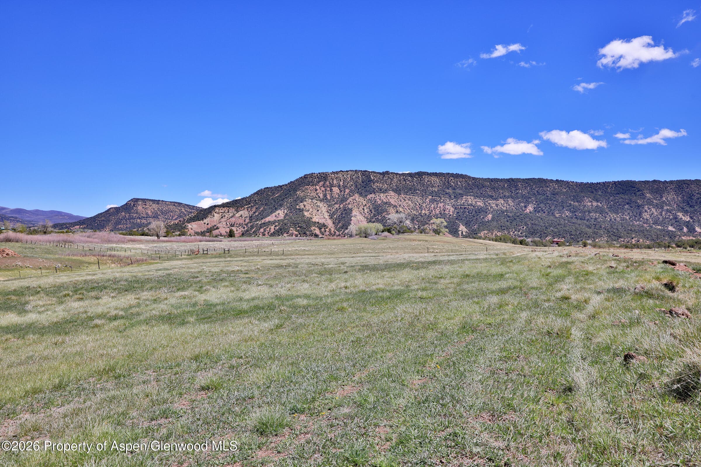 555 Glenarm Avenue, Collbran, CO 81624 - Photo 16