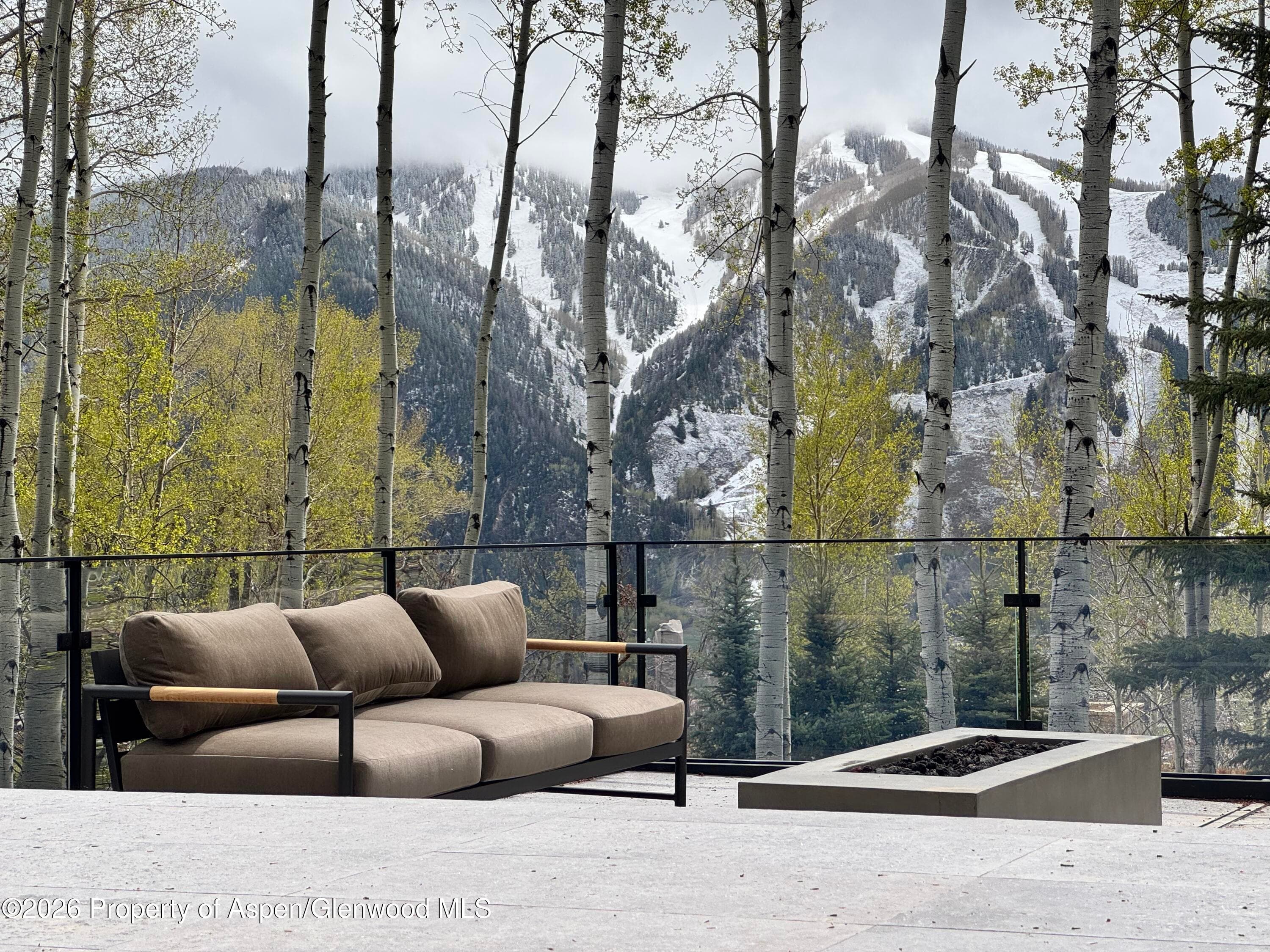 323 E Reds Road, Aspen, CO 81611 - Photo 20