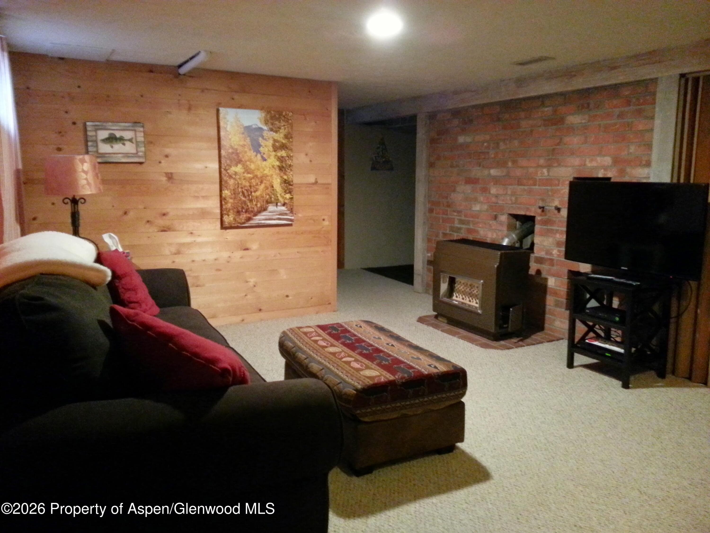 262 Midland Avenue, Basalt, CO 81621 - Photo 10