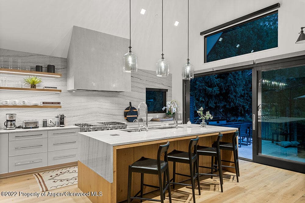 709 W Hallam Street, Aspen, CO 81611 - Photo 3