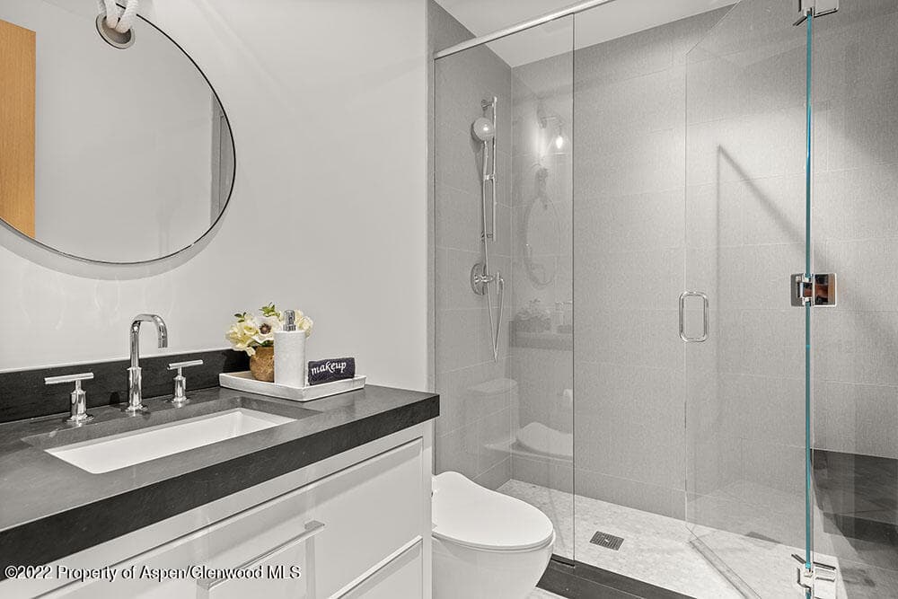 709 W Hallam Street, Aspen, CO 81611 - Photo 20