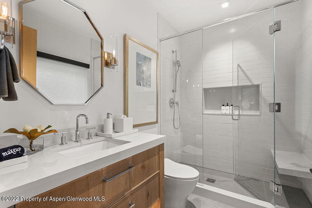 709 W Hallam Street, Aspen, CO 81611 - Photo 26