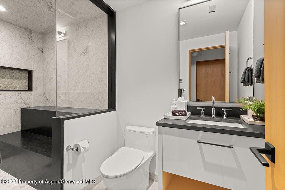 709 W Hallam Street, Aspen, CO 81611 - Photo 29
