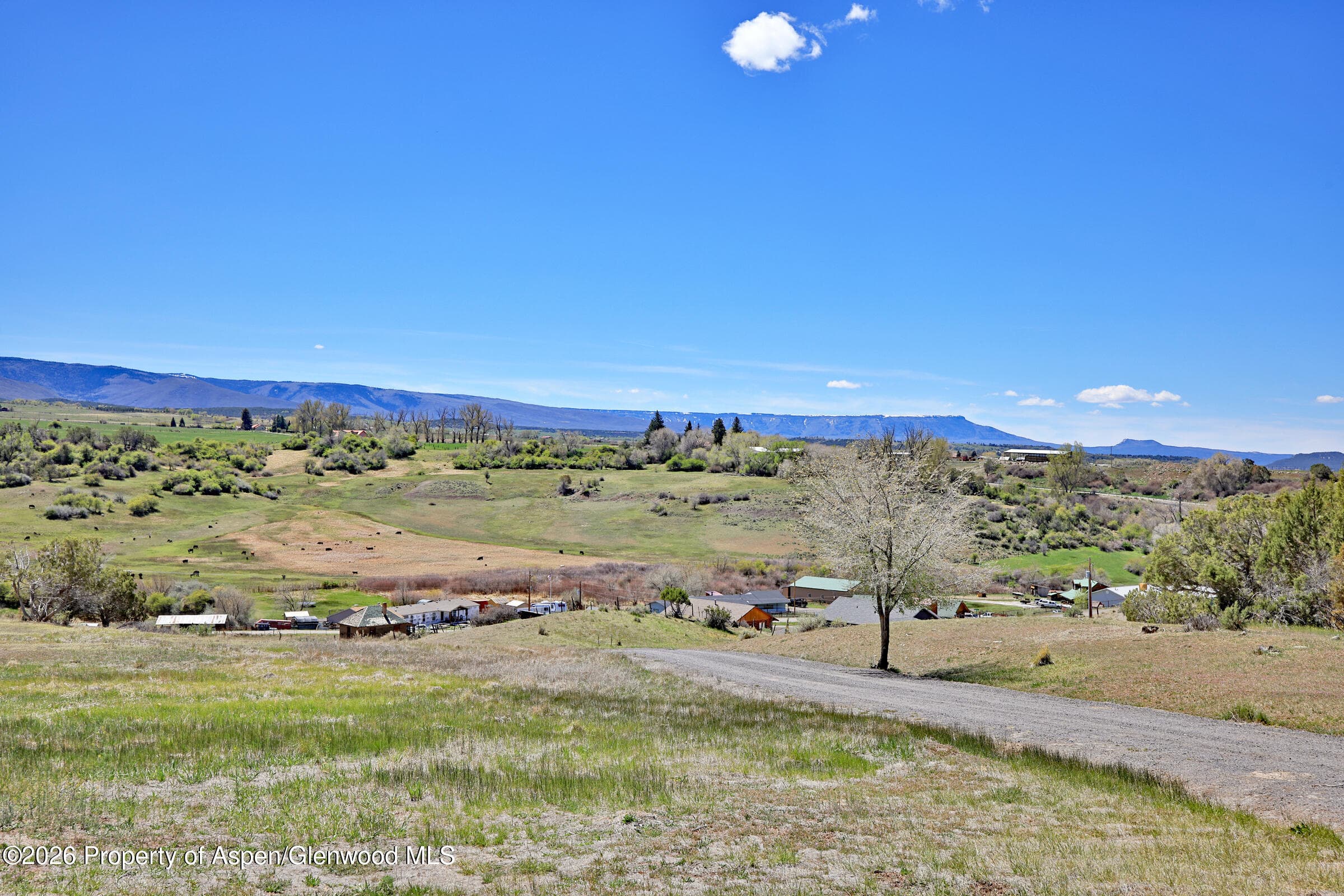 58798 Delores Drive, Collbran, CO 81624 - Photo 3