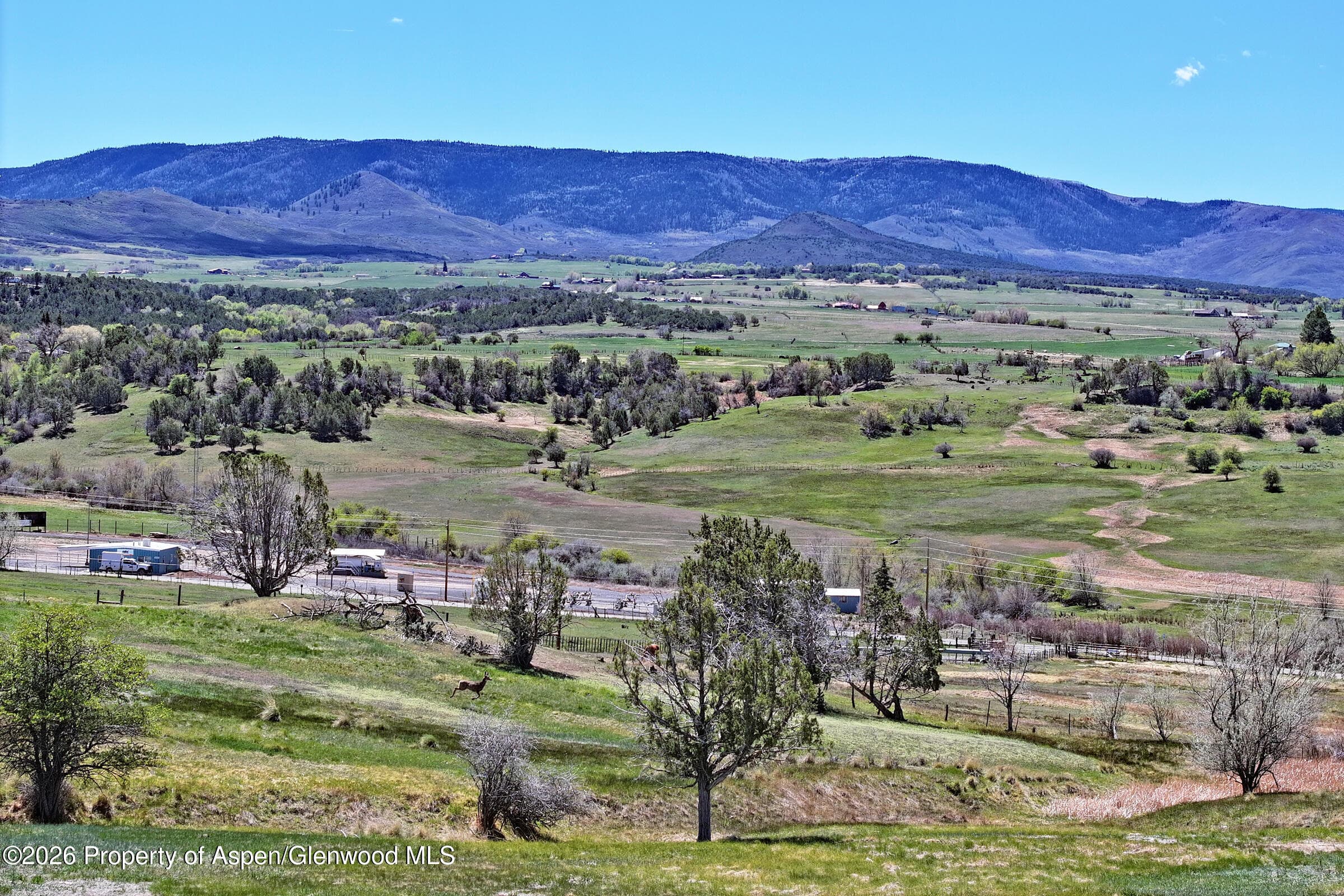 58798 Delores Drive, Collbran, CO 81624 - Photo 4