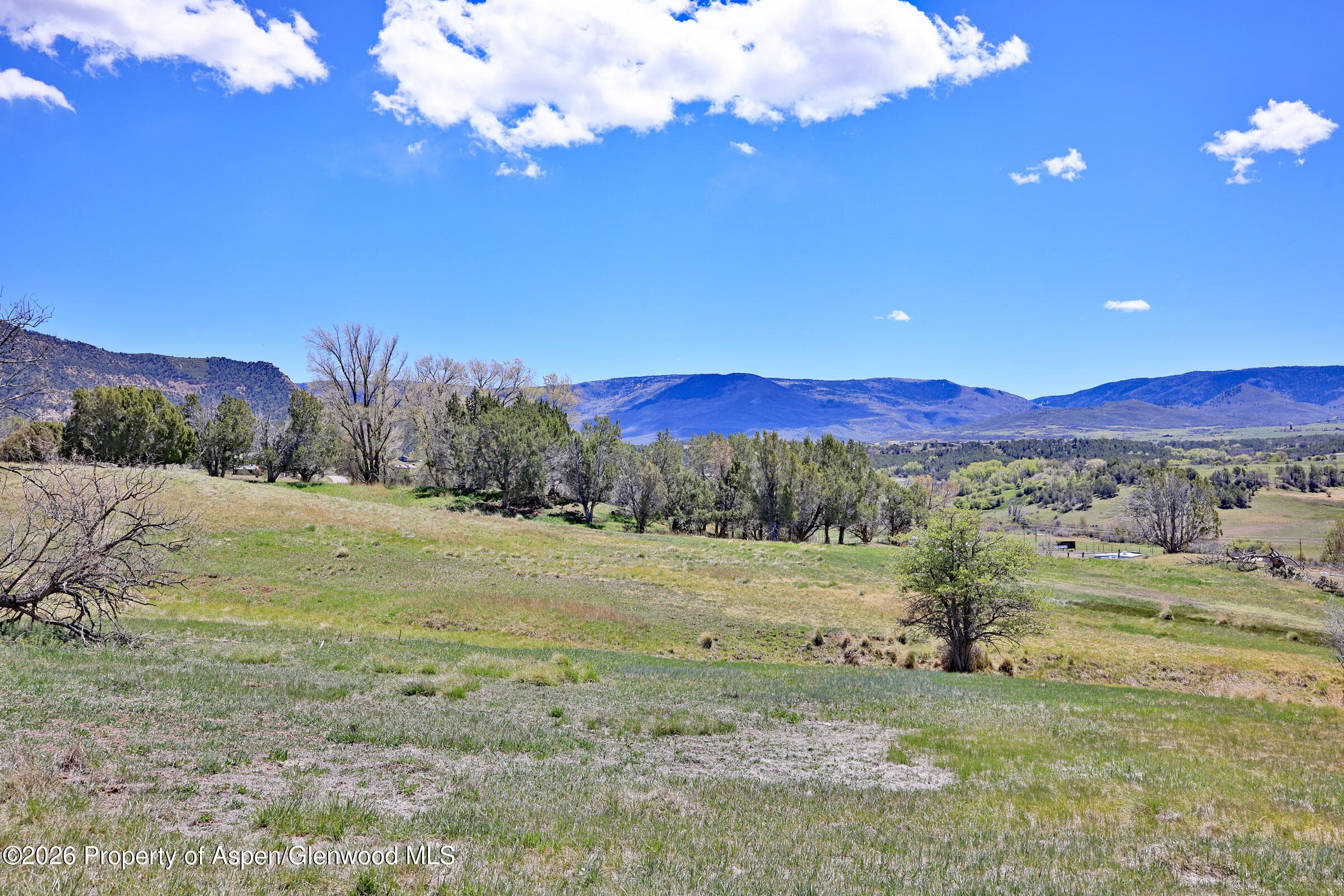 58798 Delores Drive, Collbran, CO 81624 - Photo 5