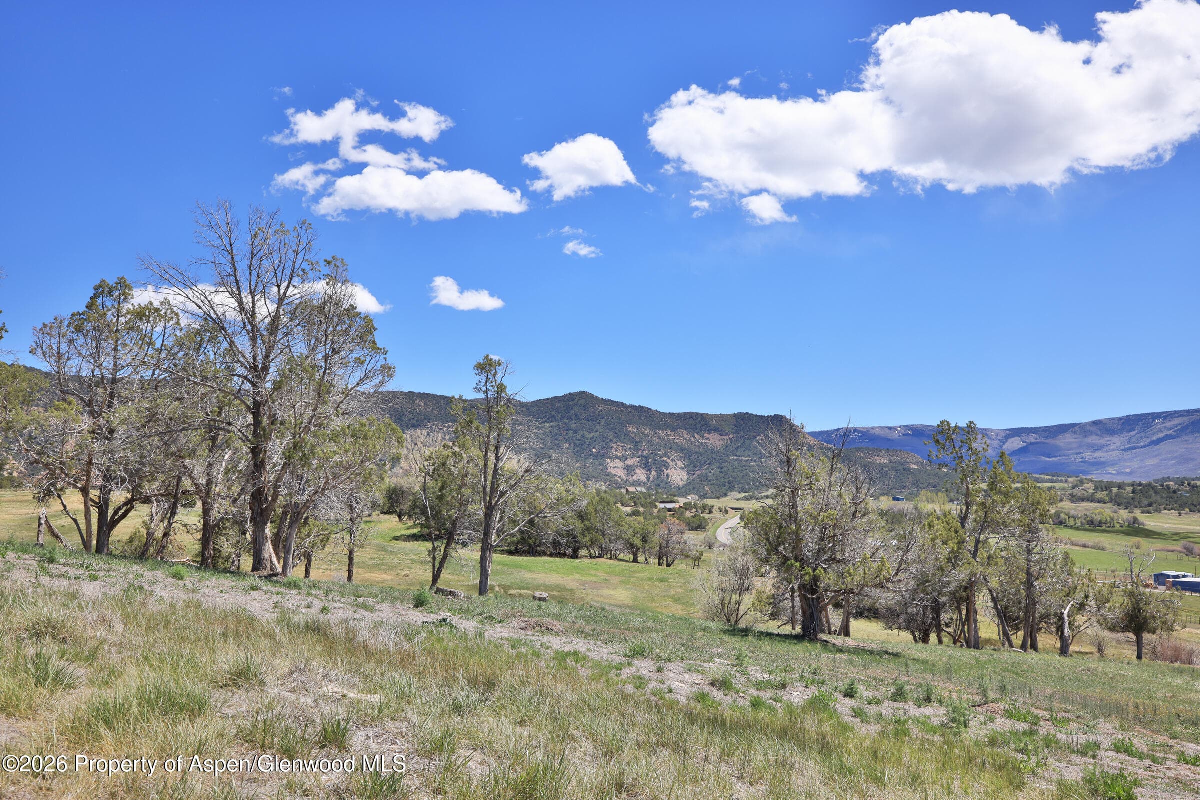 58798 Delores Drive, Collbran, CO 81624 - Photo 6