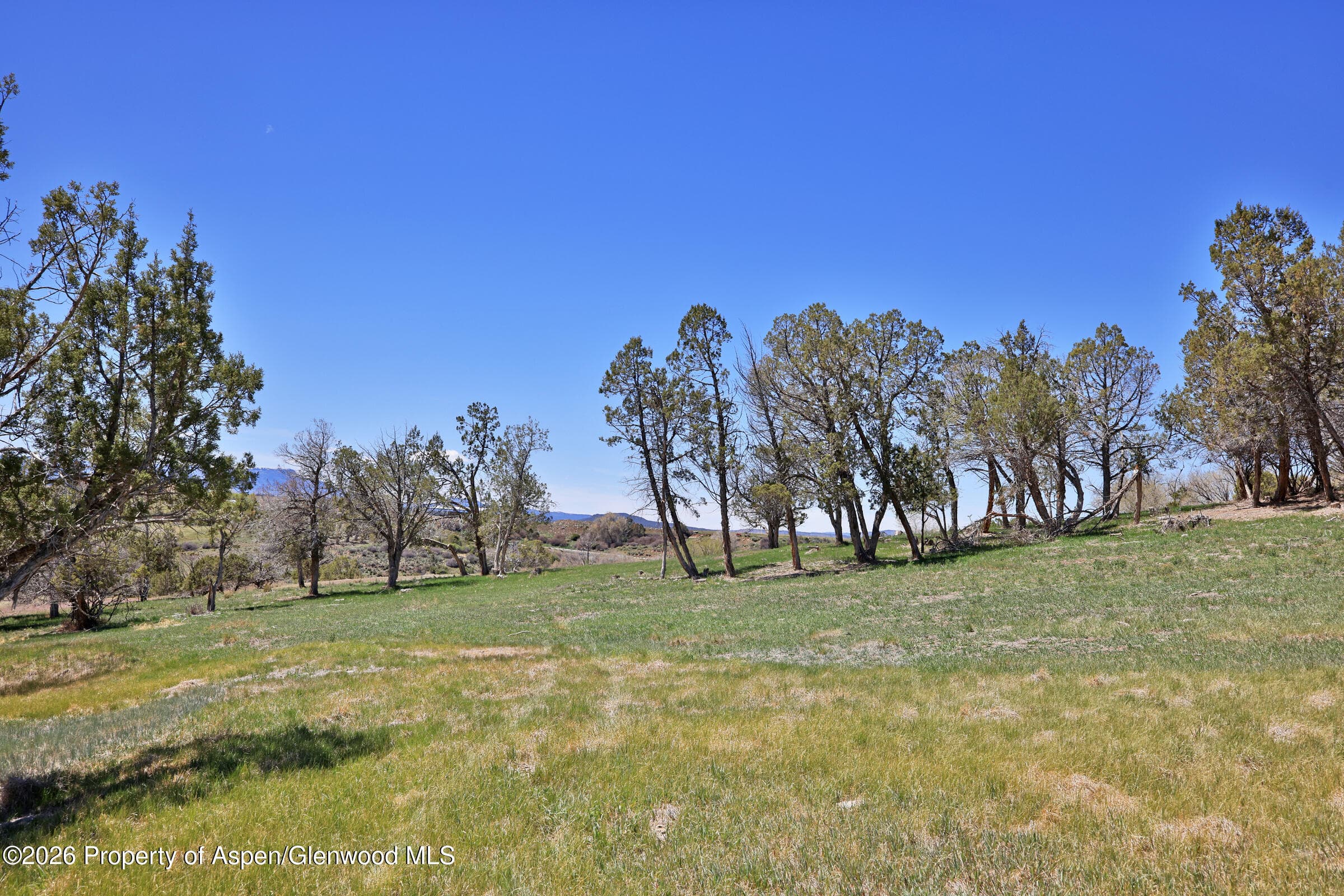 58798 Delores Drive, Collbran, CO 81624 - Photo 7