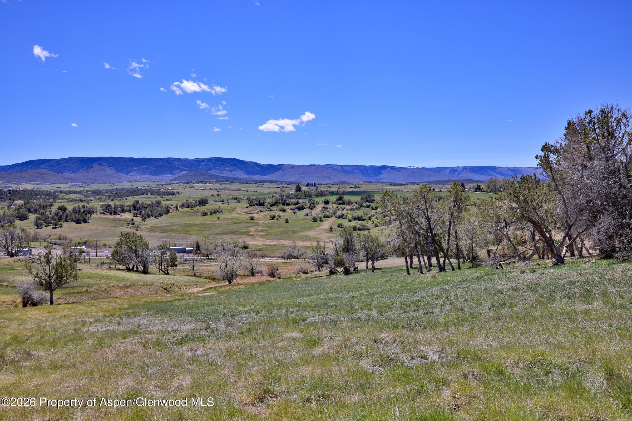58798 Delores Drive, Collbran, CO 81624 - Photo 8