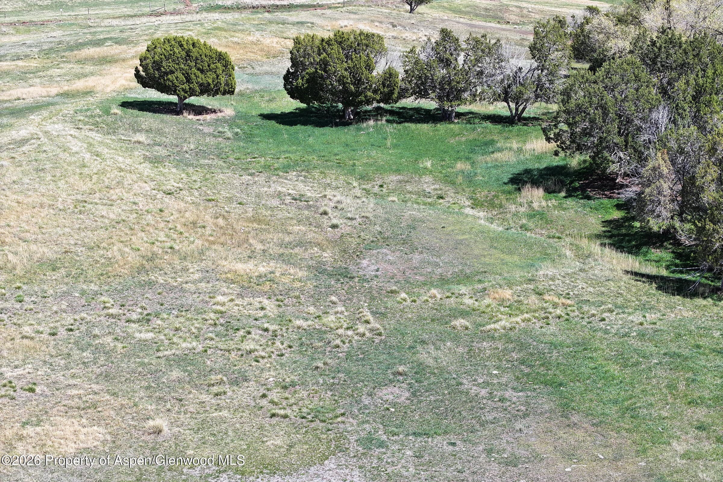 58798 Delores Drive, Collbran, CO 81624 - Photo 10