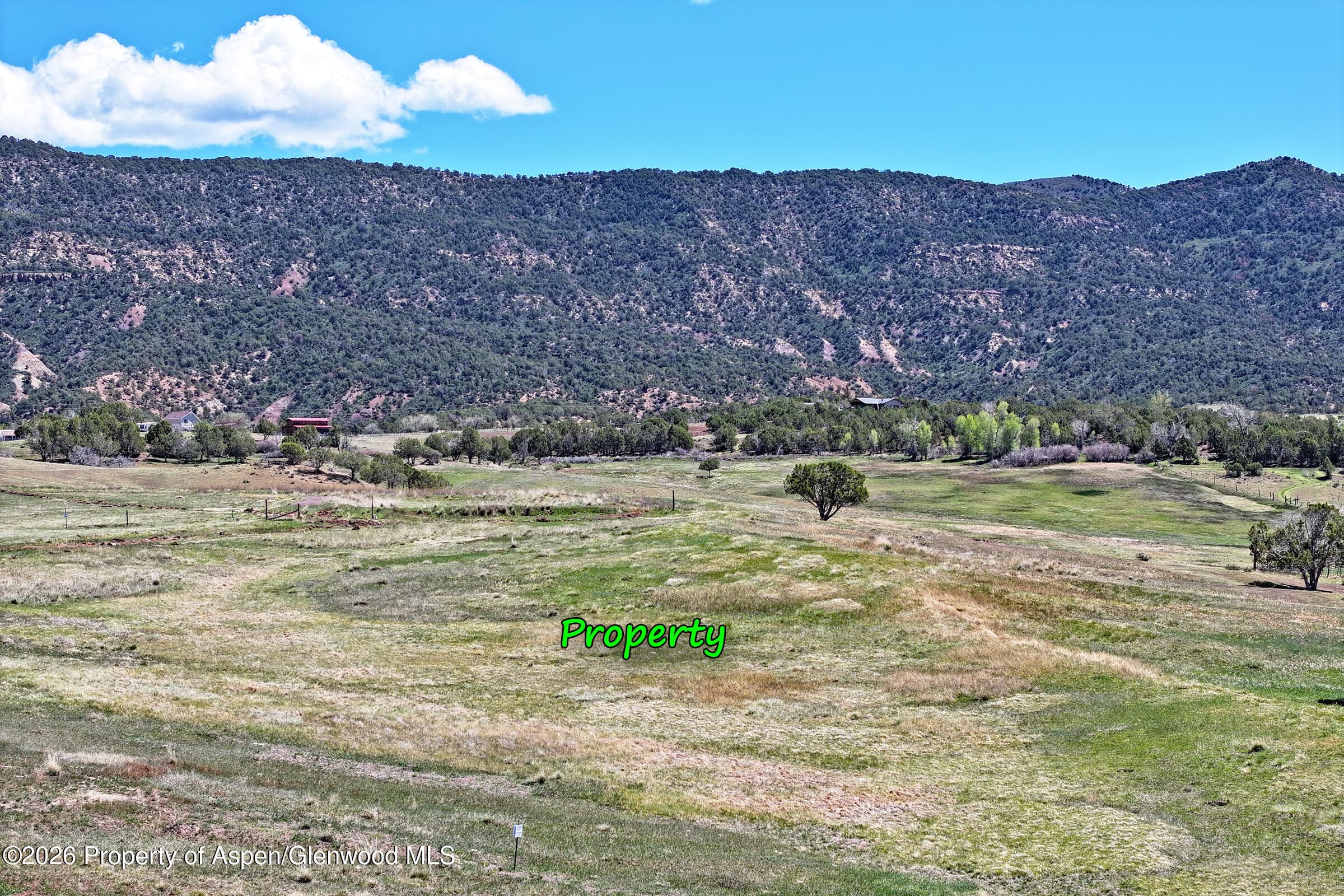 58798 Delores Drive, Collbran, CO 81624 - Photo 13