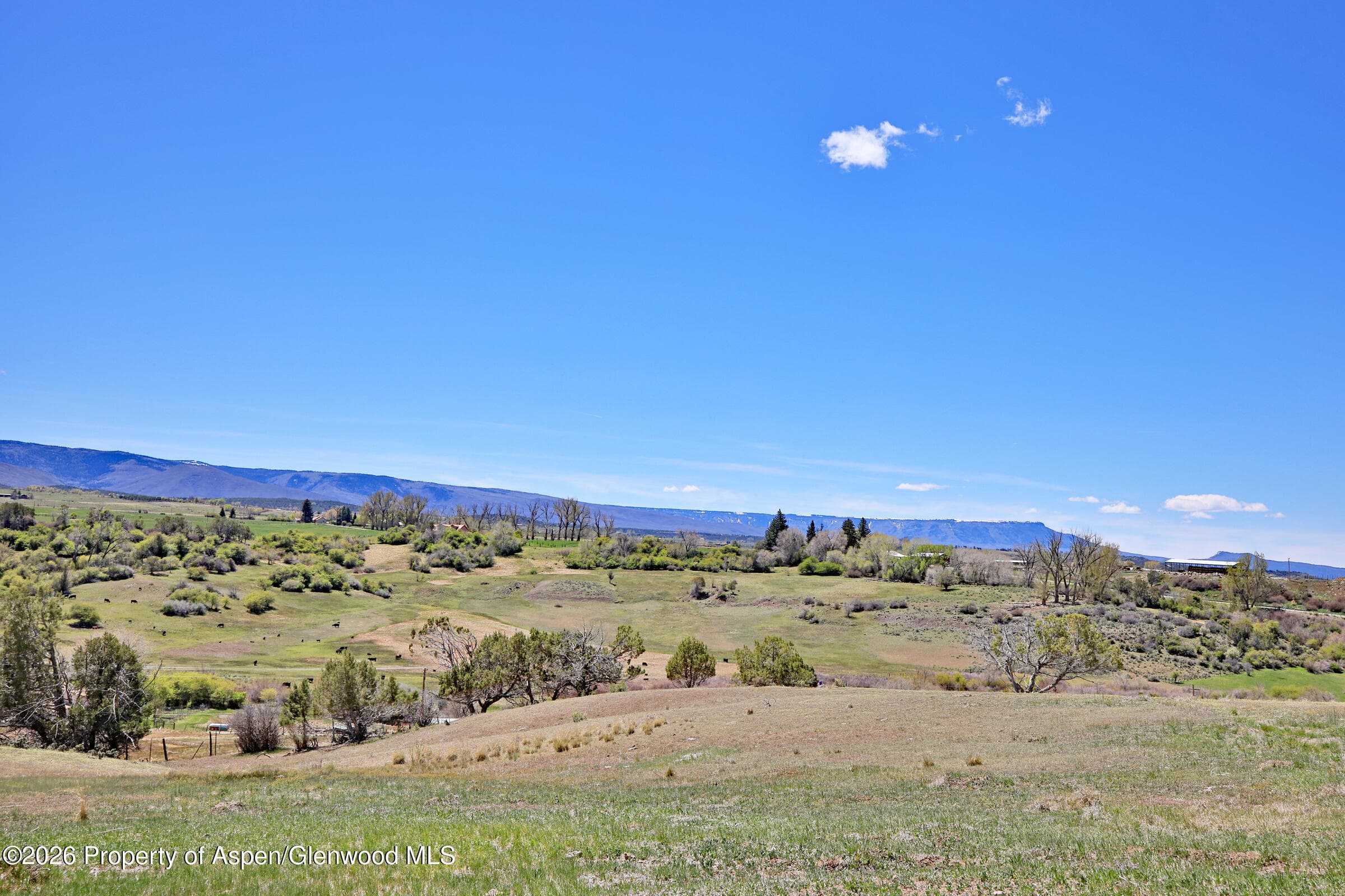 58798 Delores Drive, Collbran, CO 81624 - Photo 15