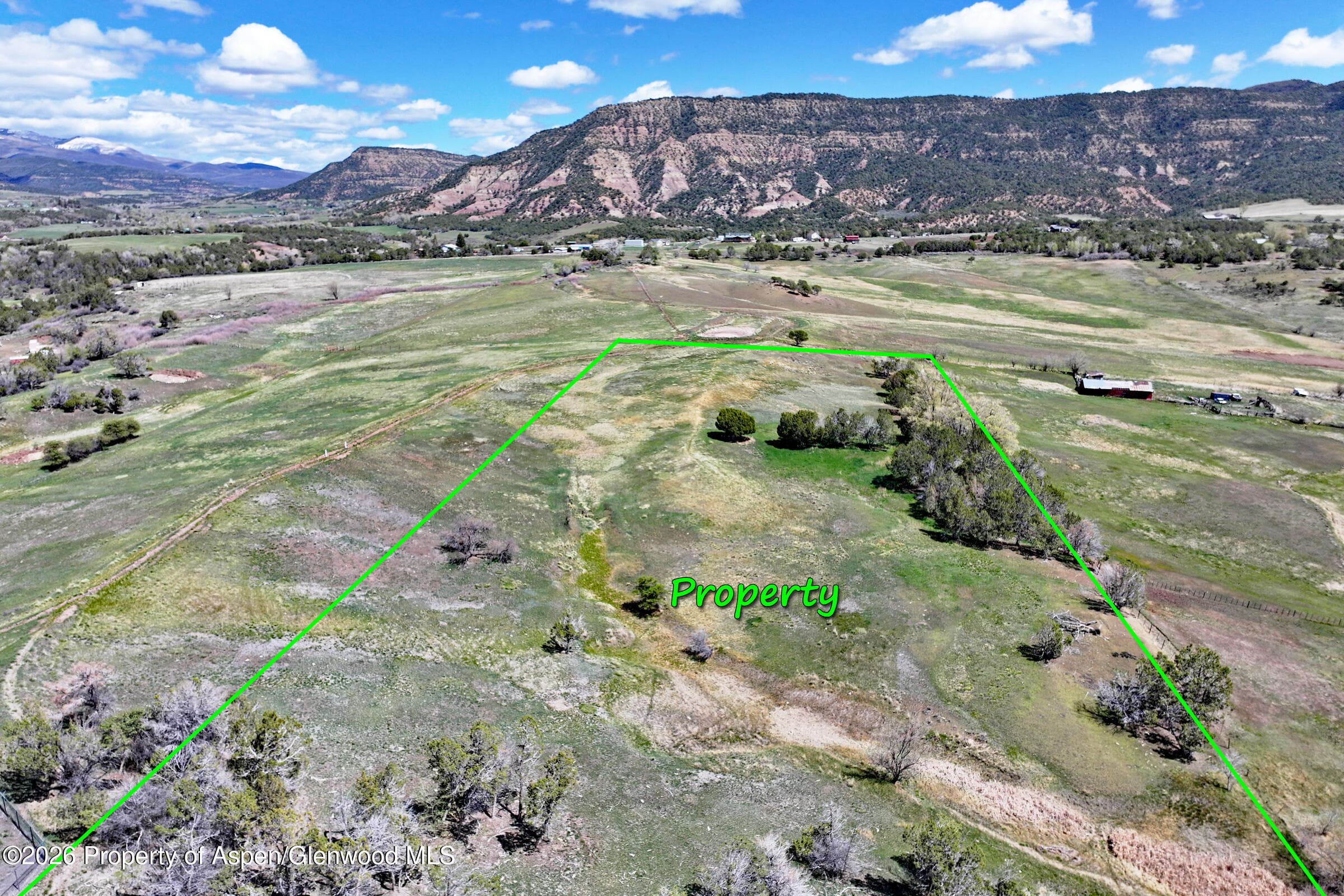 58798 Delores Drive, Collbran, CO 81624 - Photo 19