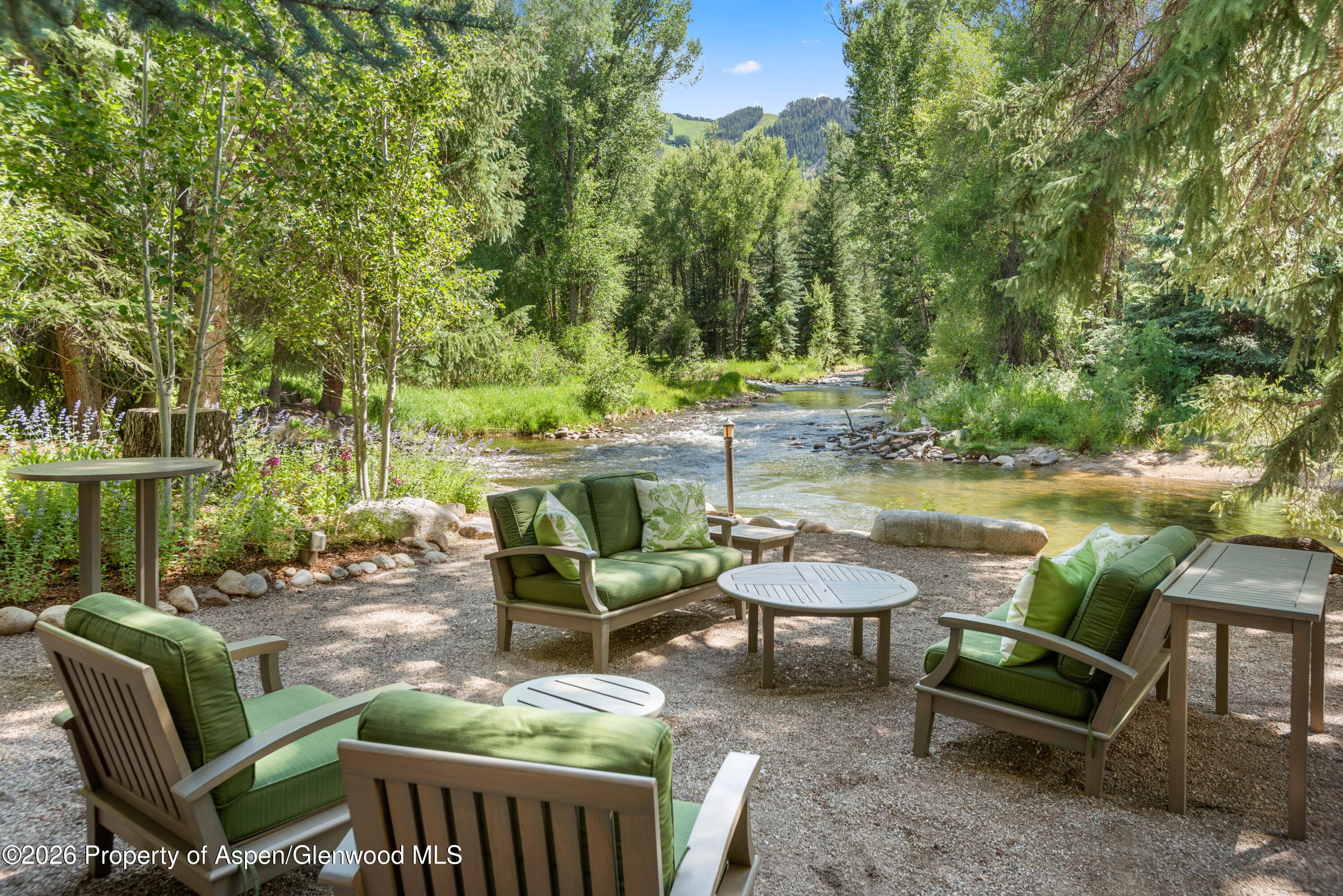 99 Shady Lane, Aspen, CO 81611 - Photo 41