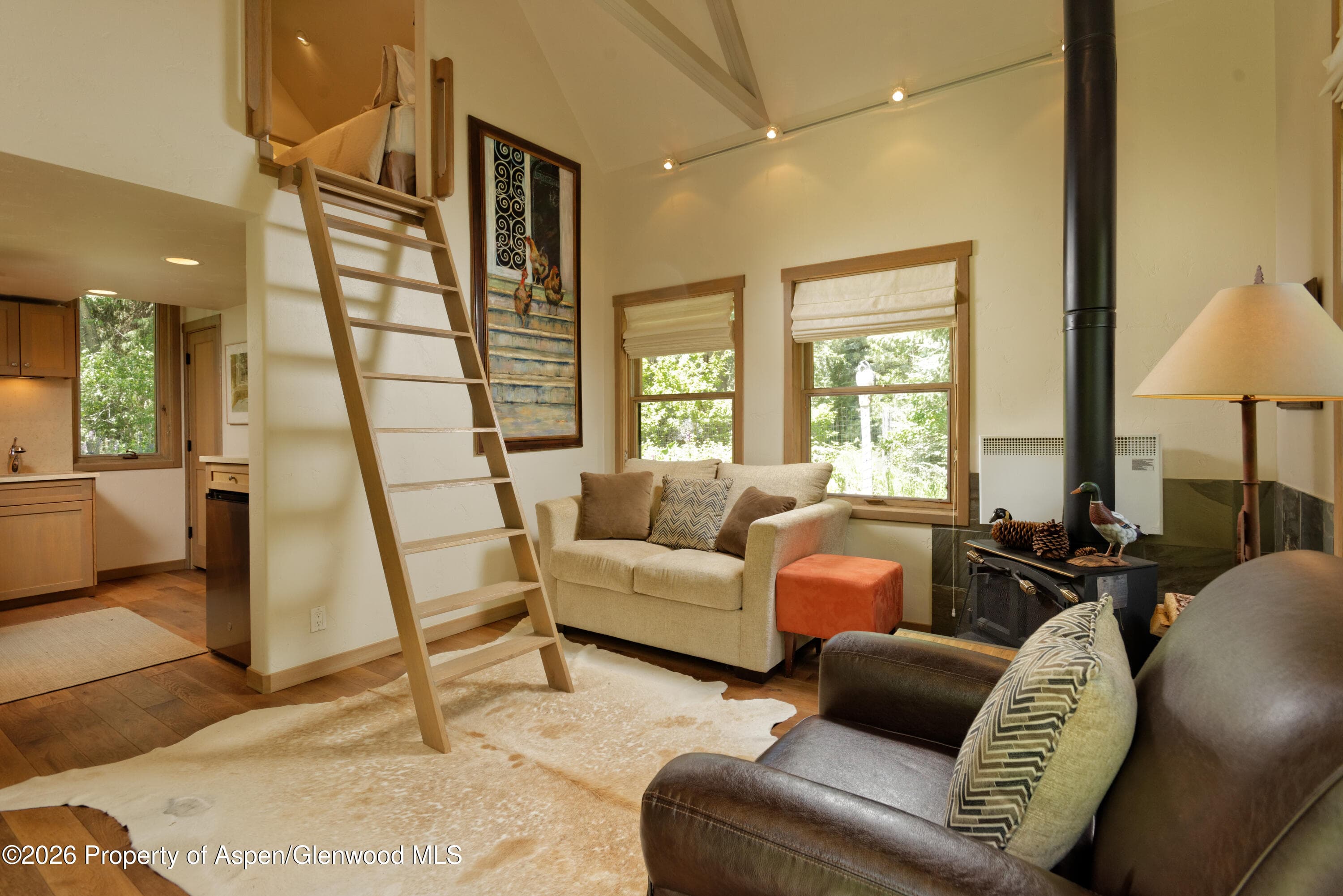 99 Shady Lane, Aspen, CO 81611 - Photo 47