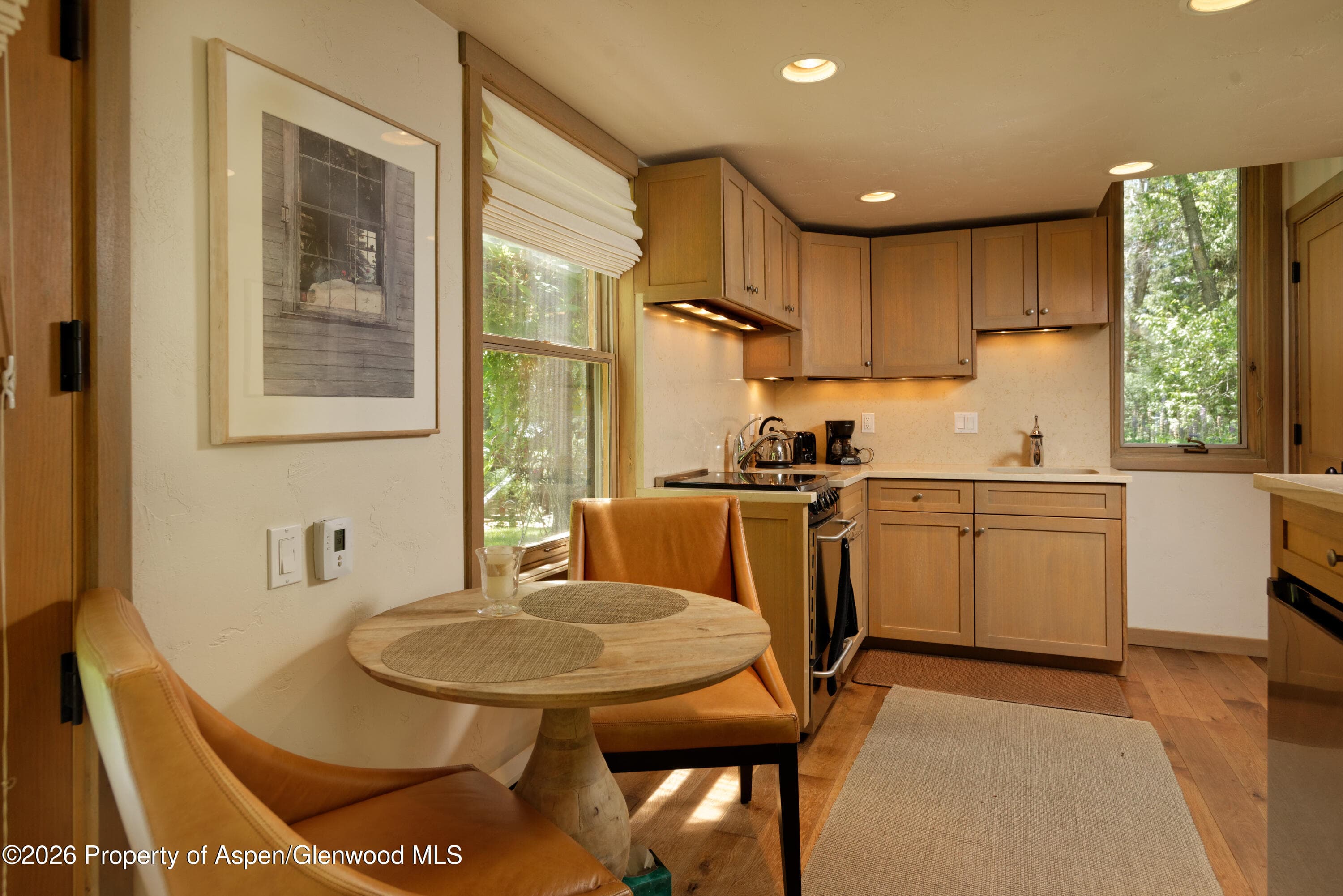 99 Shady Lane, Aspen, CO 81611 - Photo 49