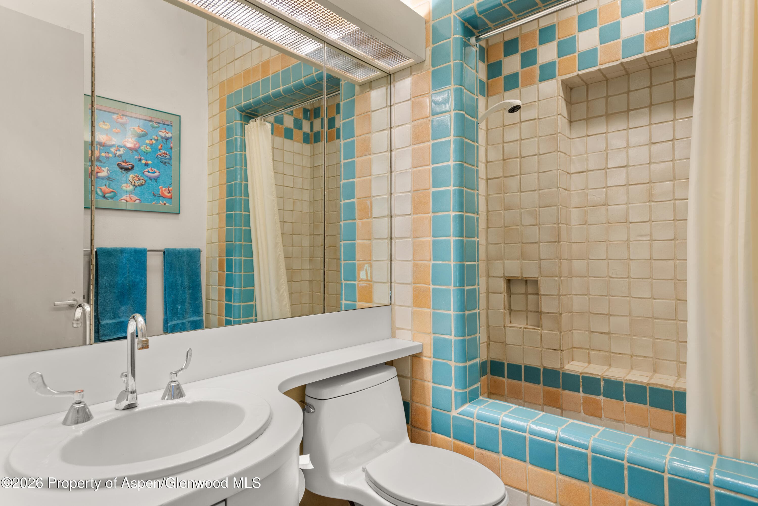 99 Shady Lane, Aspen, CO 81611 - Photo 23