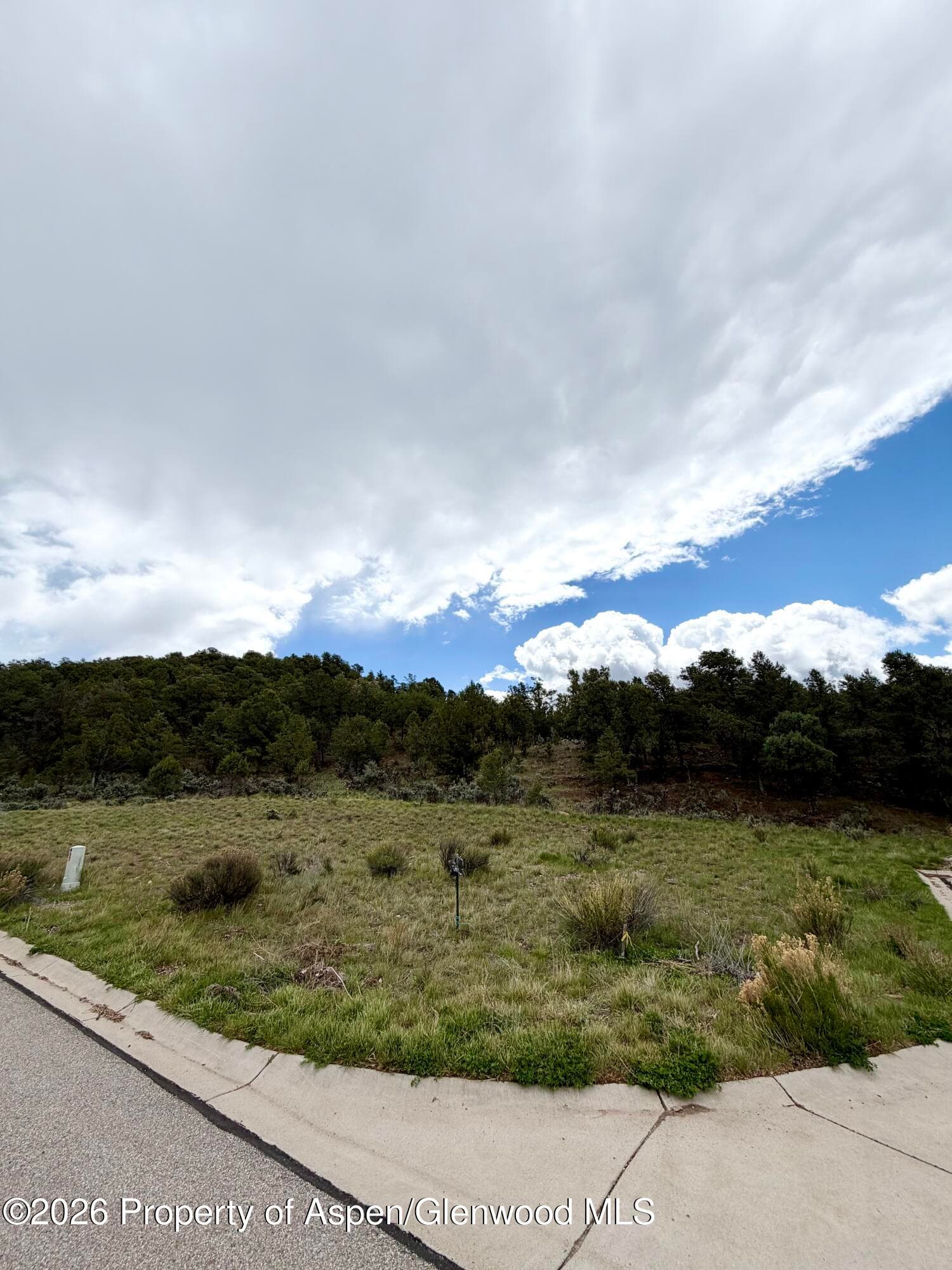 168 Sage Meadow Road, Glenwood Springs, CO 81601 - Photo 3