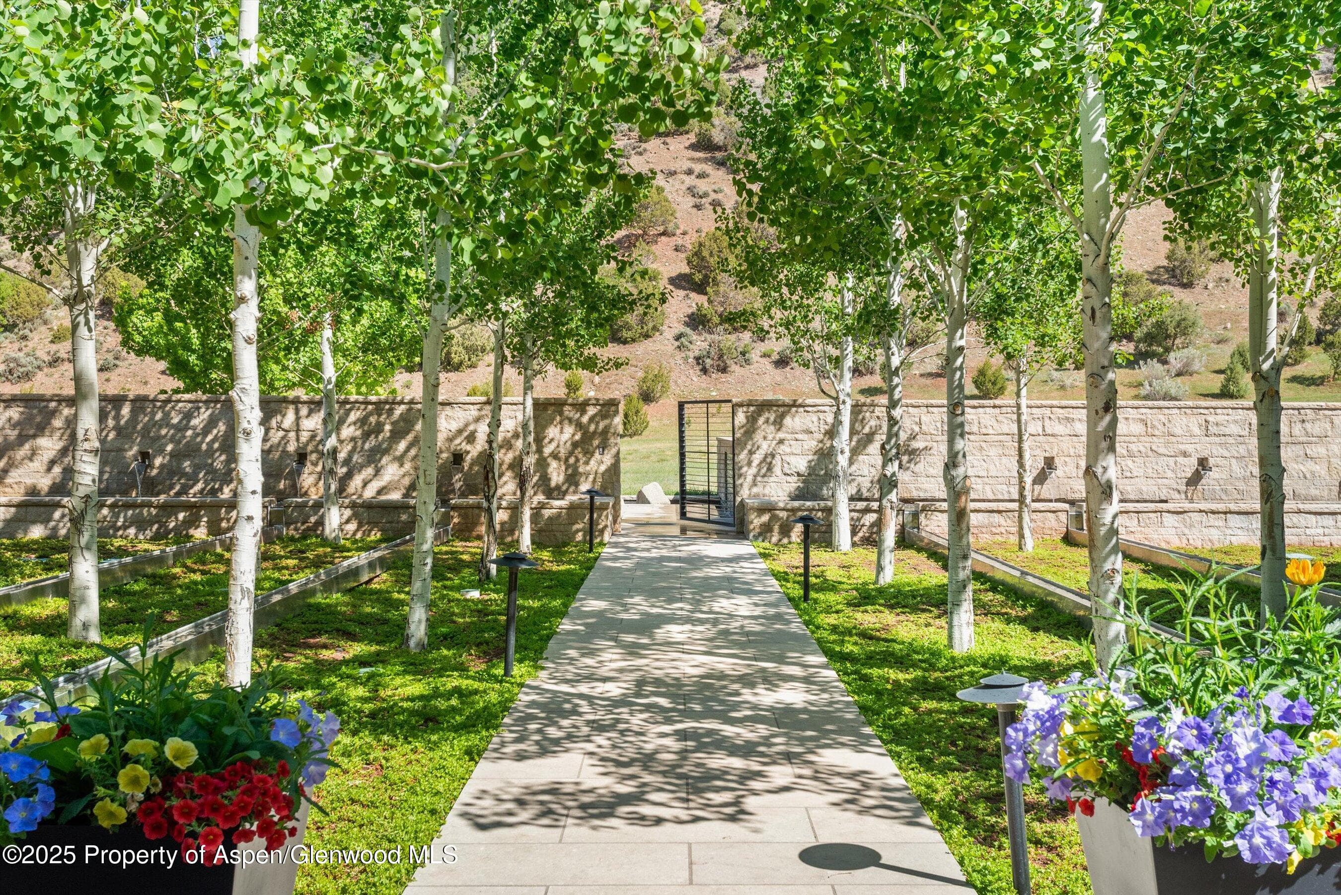 295 Aspen Valley Ranch Road, Woody Creek, CO 81656 - Photo 2
