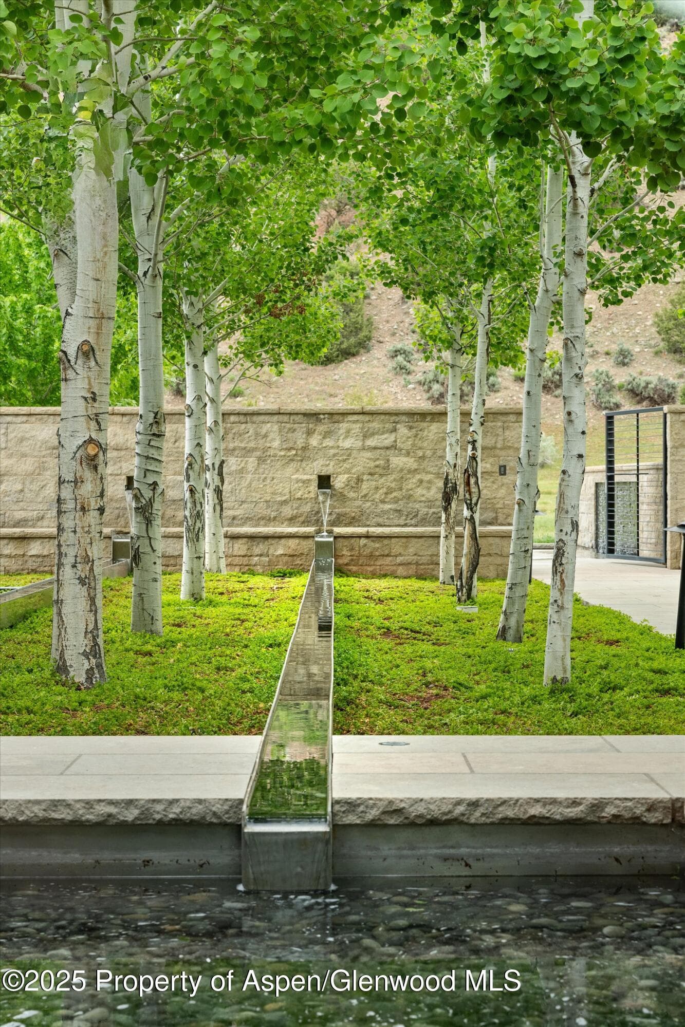 295 Aspen Valley Ranch Road, Woody Creek, CO 81656 - Photo 3