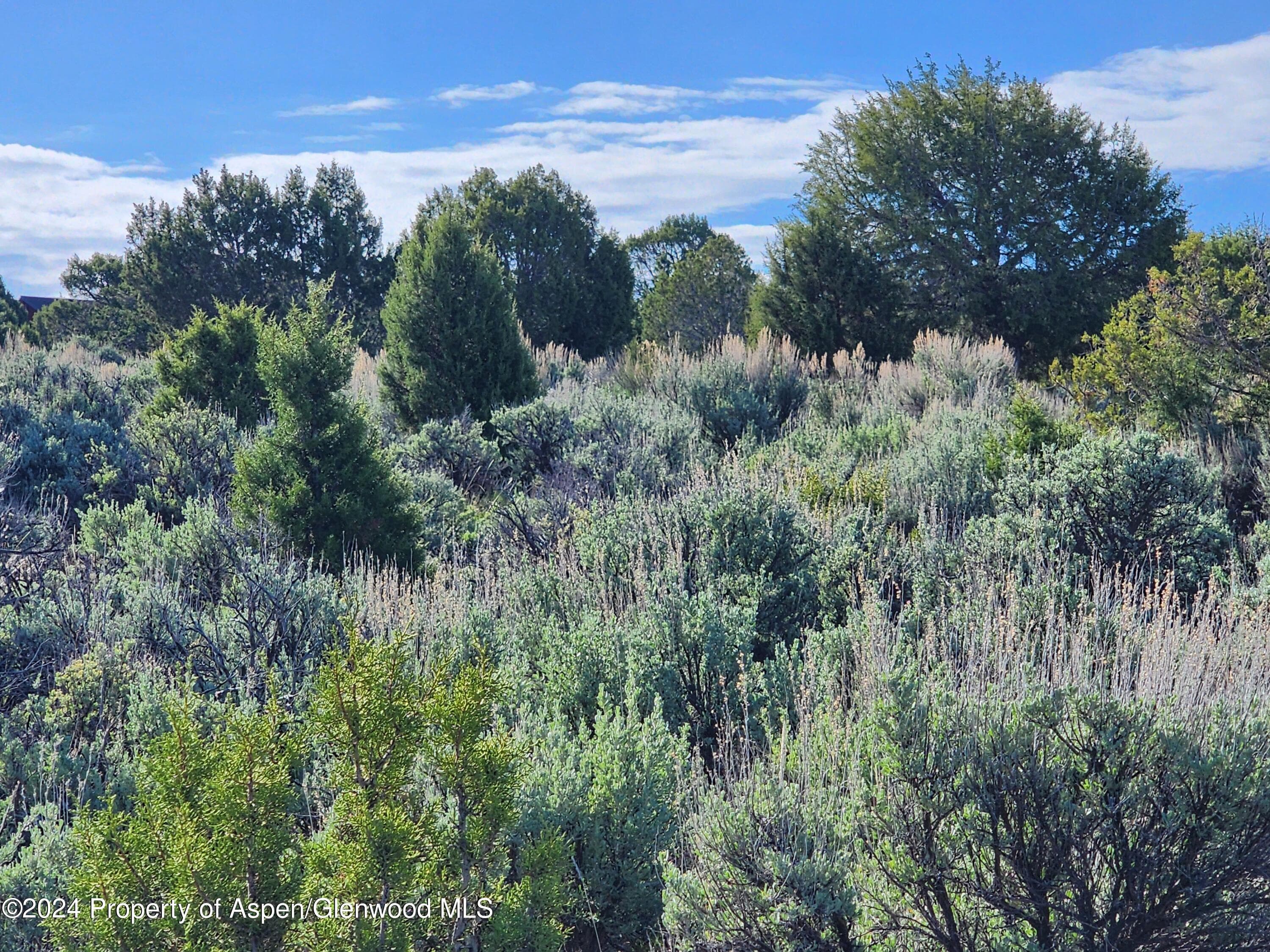 369 Woodruff Road, Glenwood Springs, CO 81601 - Photo 2