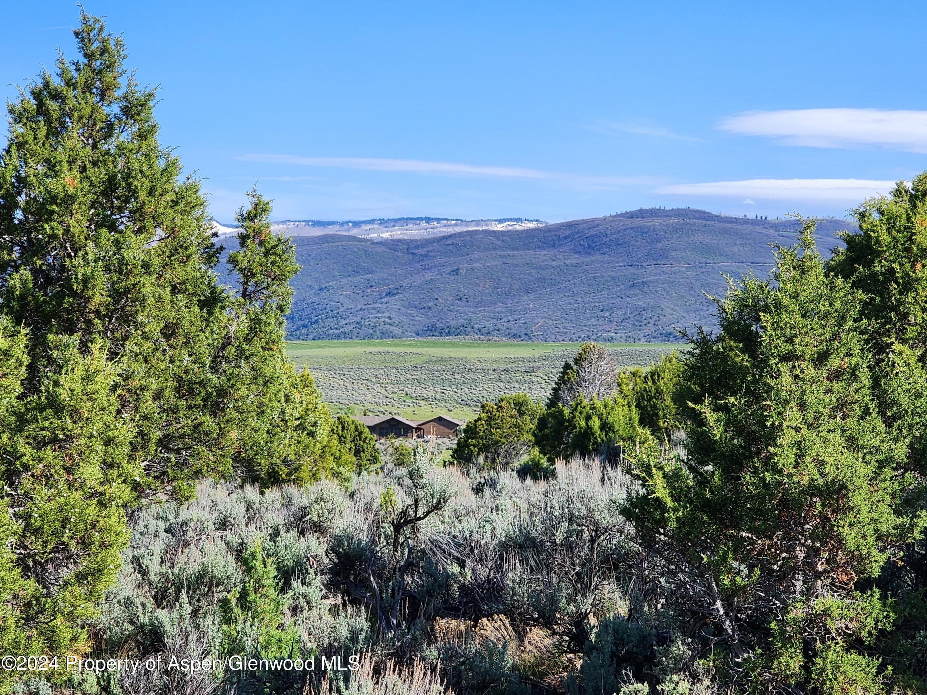 369 Woodruff Road, Glenwood Springs, CO 81601 - Photo 4