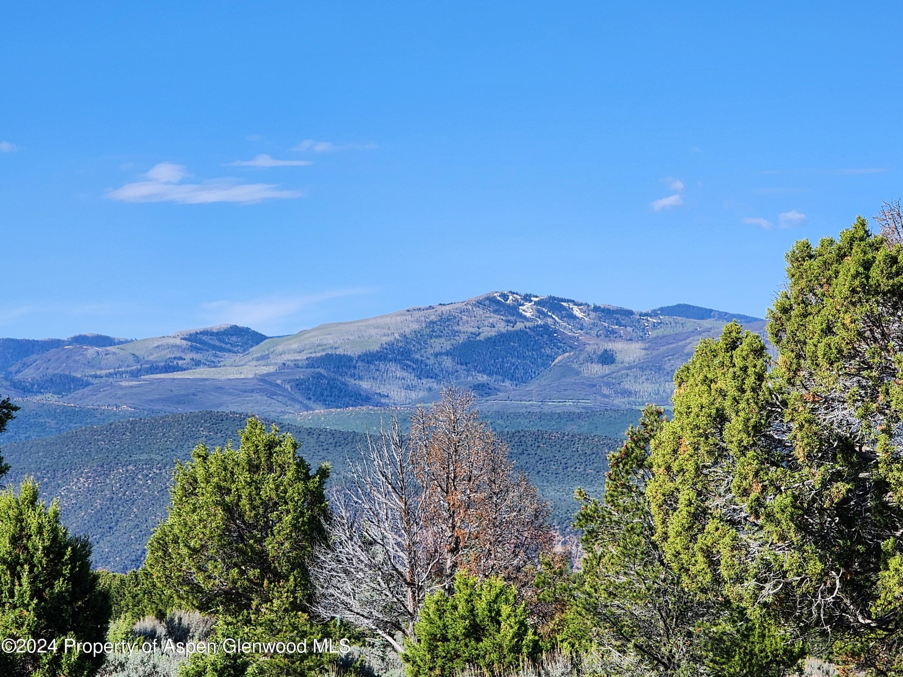 369 Woodruff Road, Glenwood Springs, CO 81601 - Photo 5