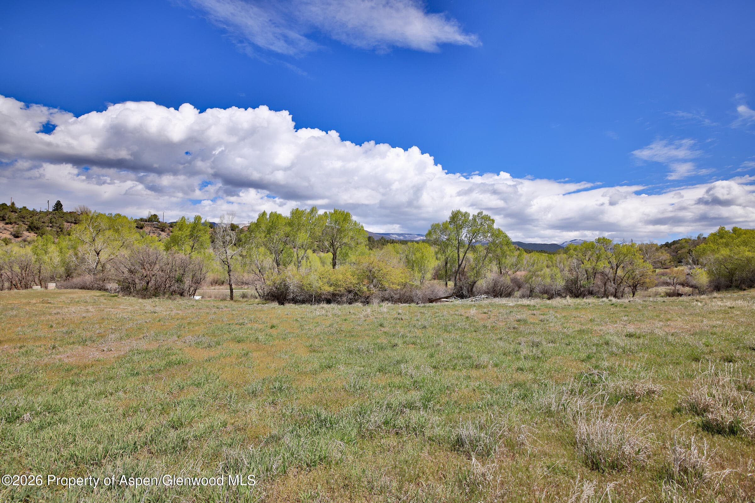 1006 Spring Street, Collbran, CO 81624 - Photo 9