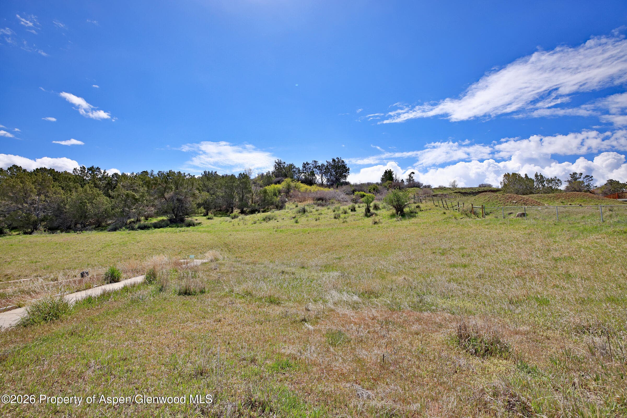 1006 Spring Street, Collbran, CO 81624 - Photo 10