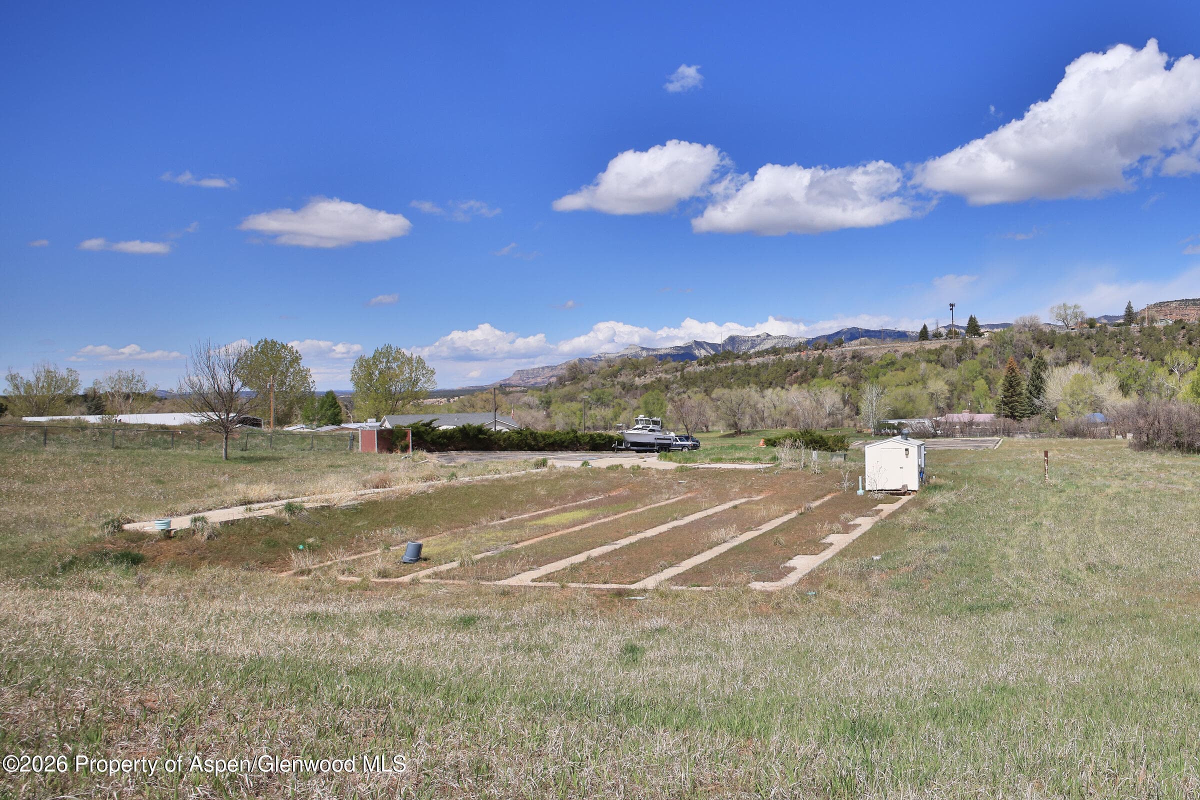 1006 Spring Street, Collbran, CO 81624 - Photo 11